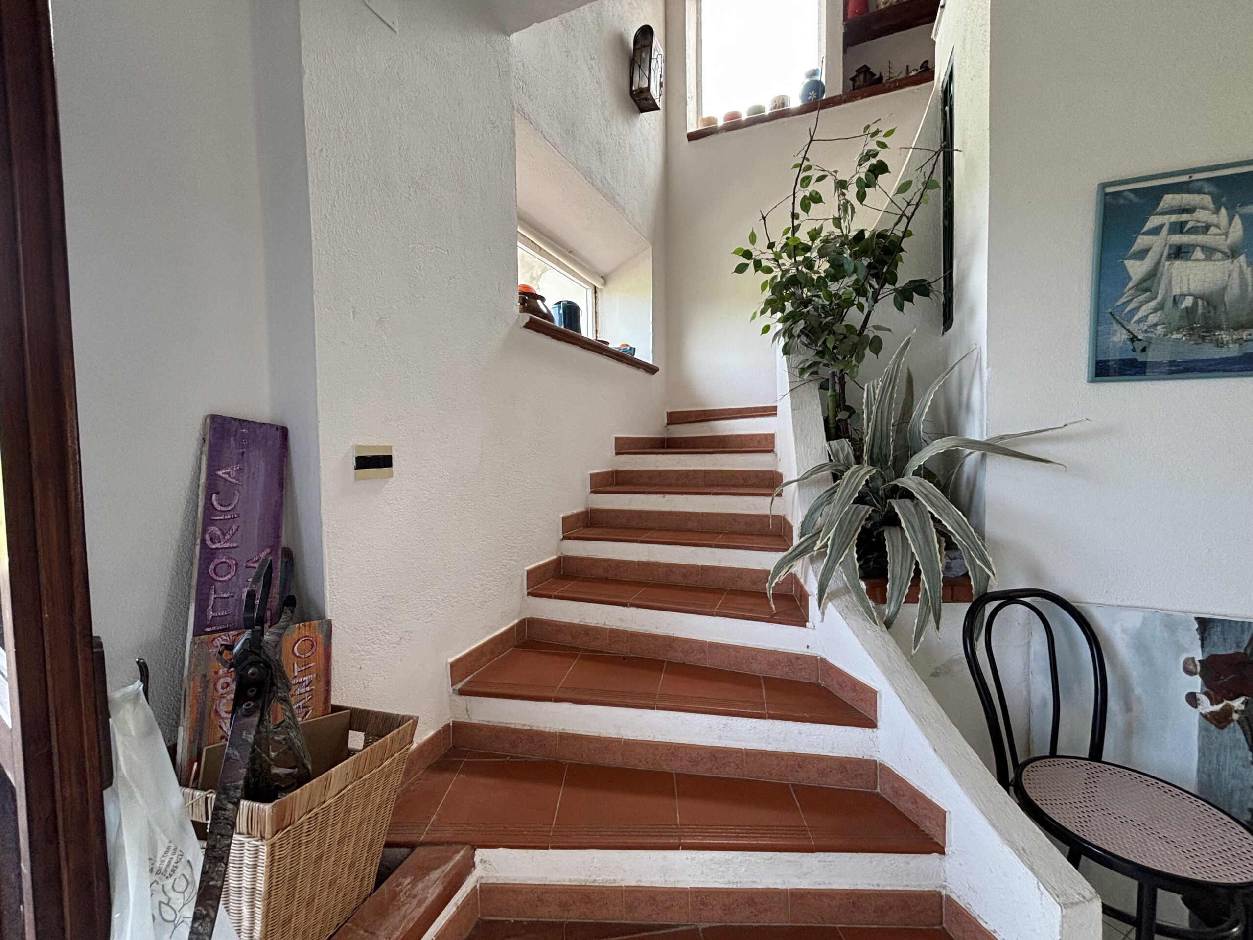 Appartamento con ampia terrazza, vista mare e montagna - Delfini, San Nicola Arcella.