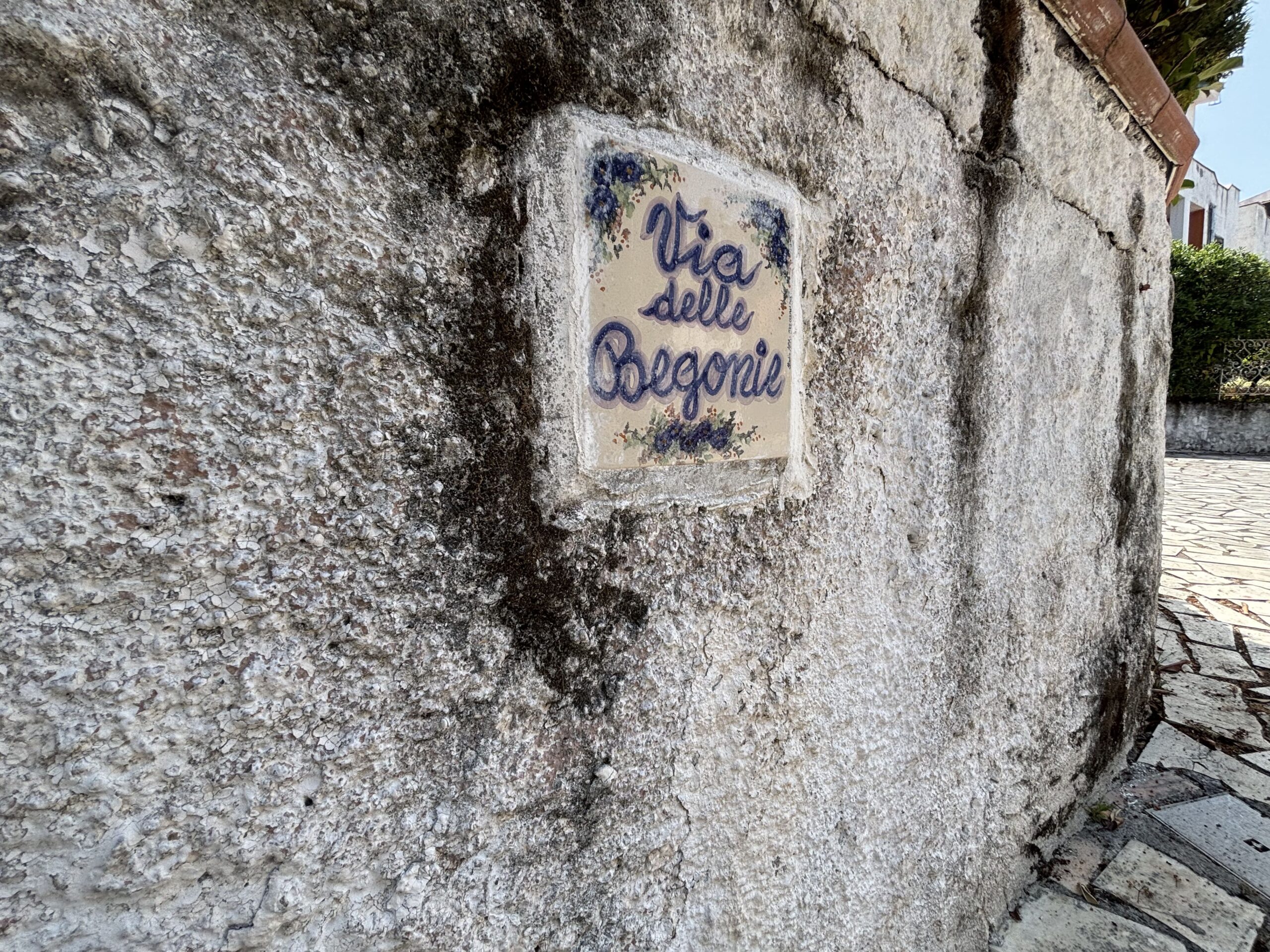 Bargain price flat in Scalea.