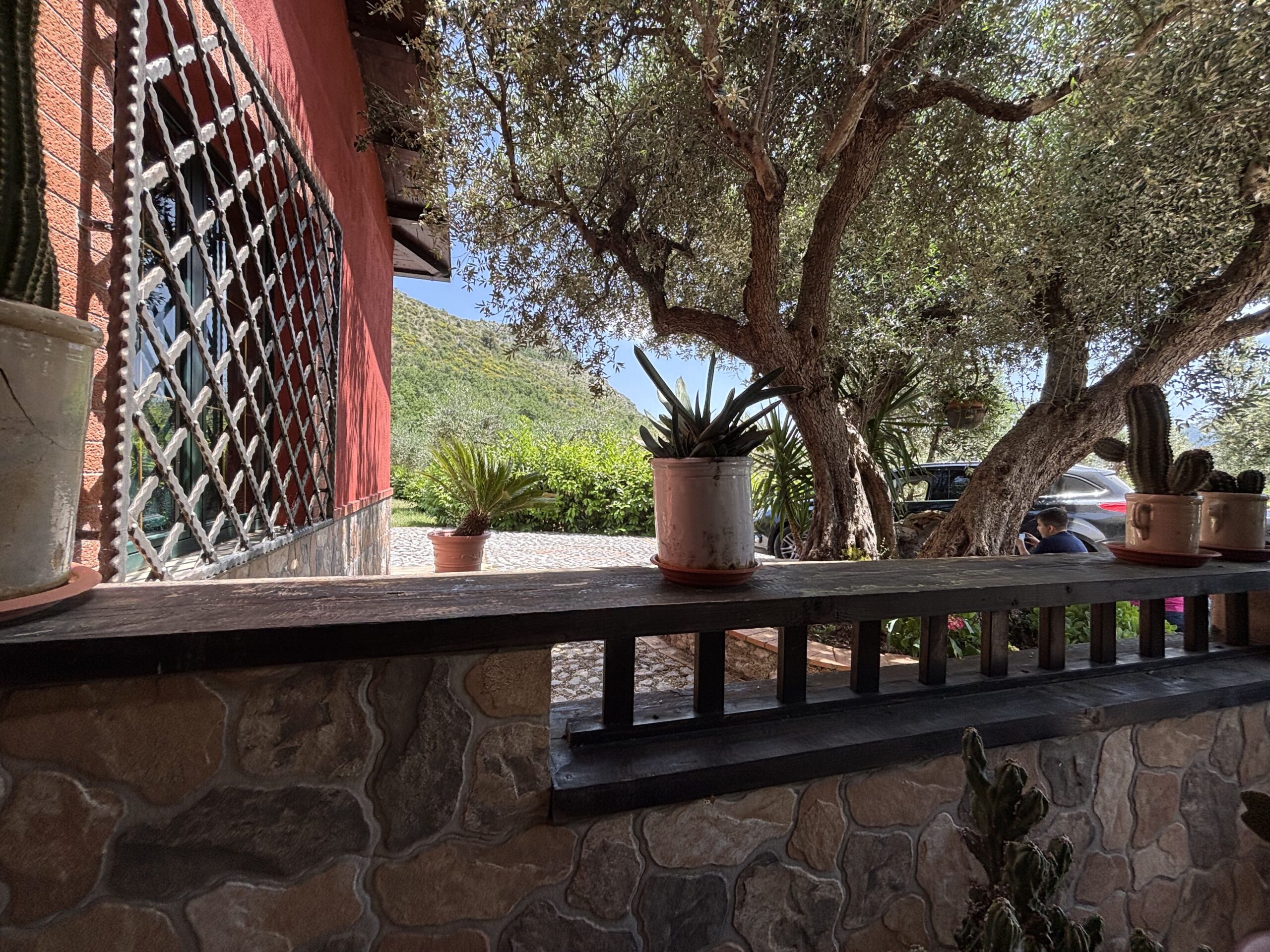 Your retreat in Morano Calabro - a phenomenal estate with olive trees.