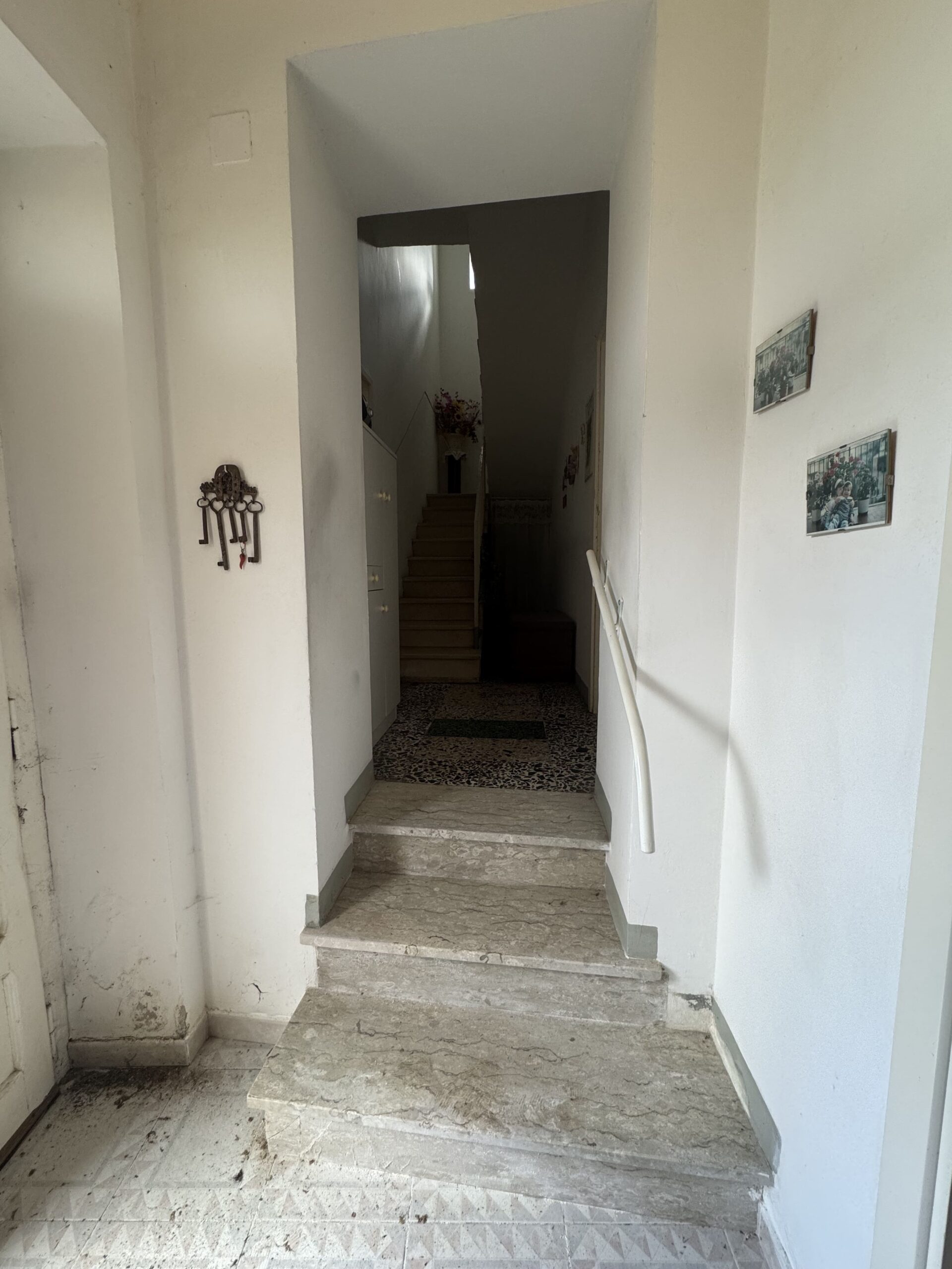 Home in the mountains and close to the sea in Santa Domenica Talao.