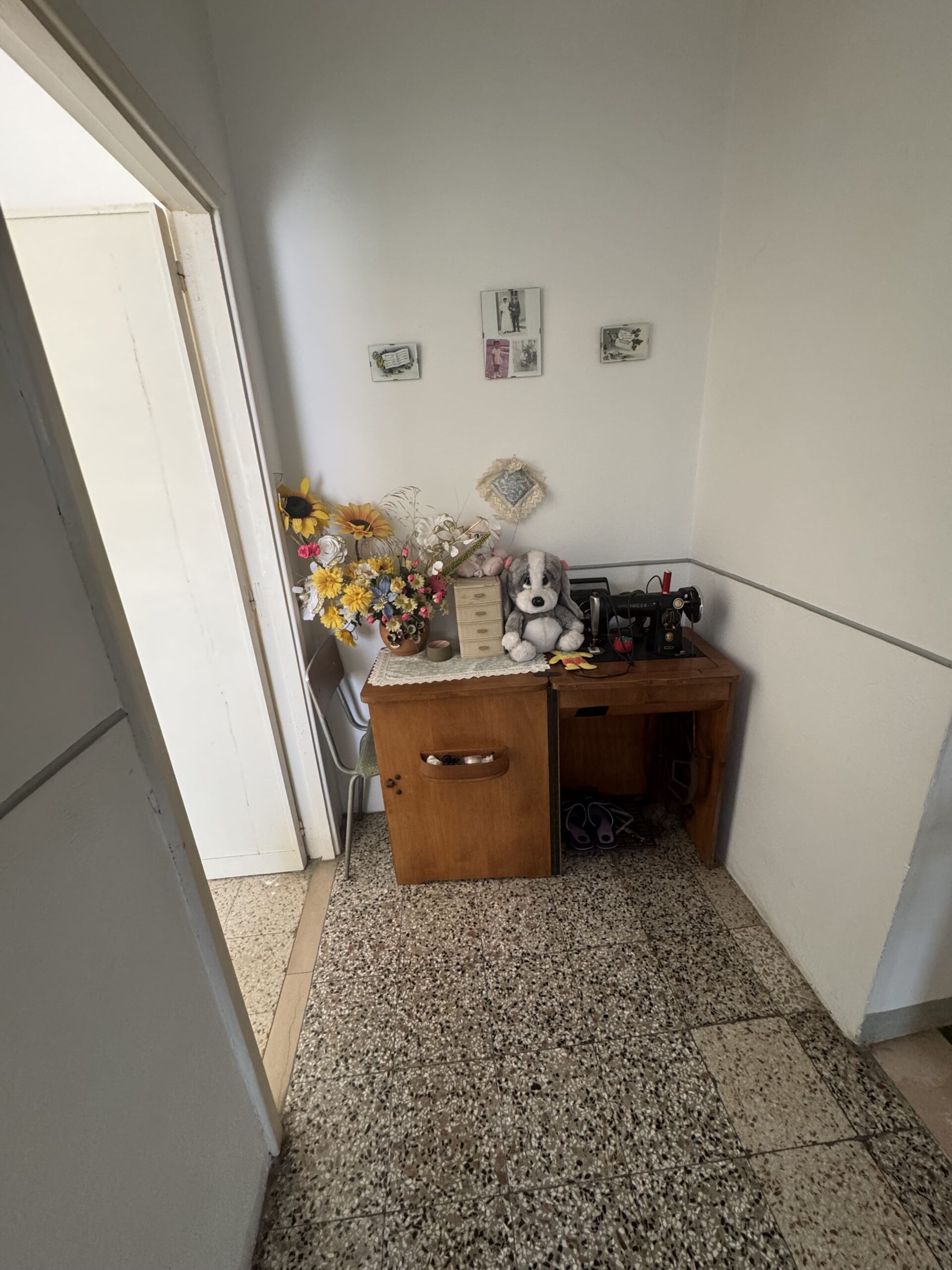 Home in the mountains and close to the sea in Santa Domenica Talao.