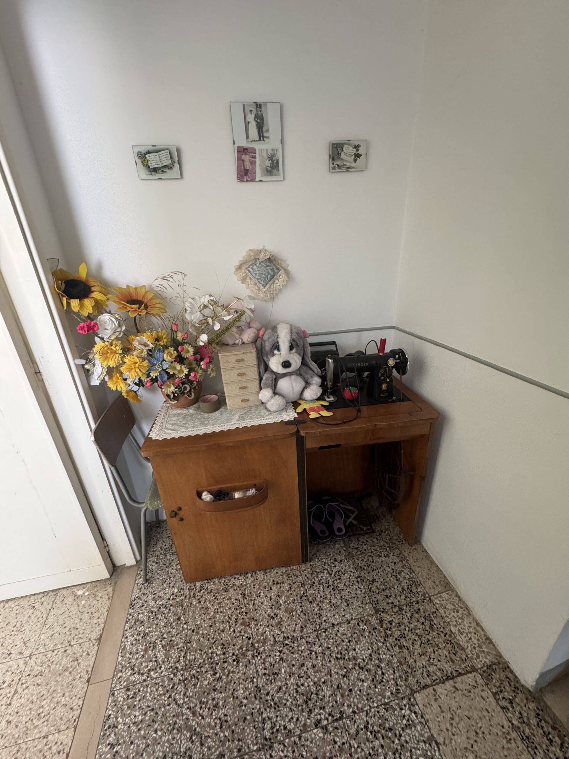 Home in the mountains and close to the sea in Santa Domenica Talao.