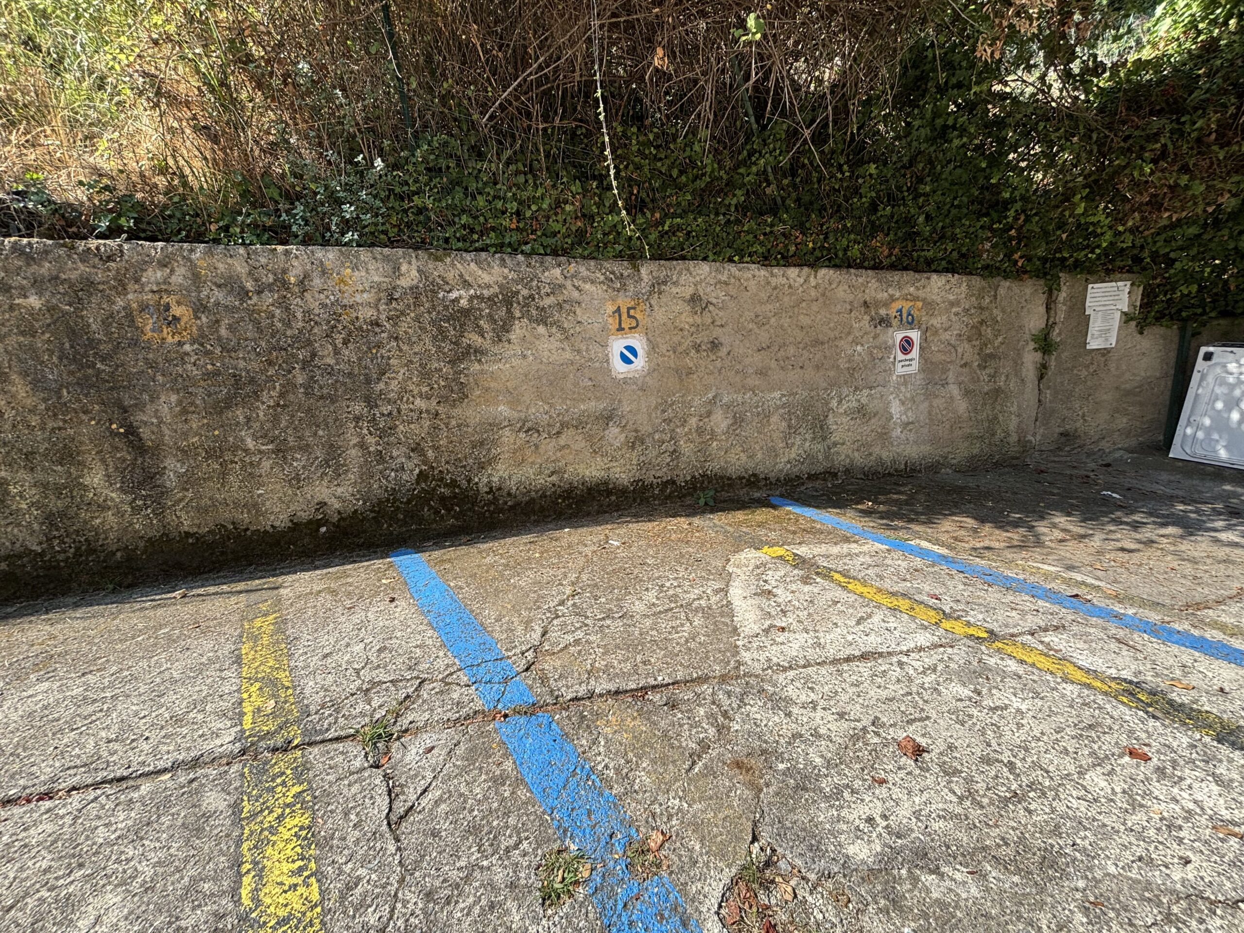 San Nicola Arcella - appartamento al piano terra con giardino, garage e posto auto.