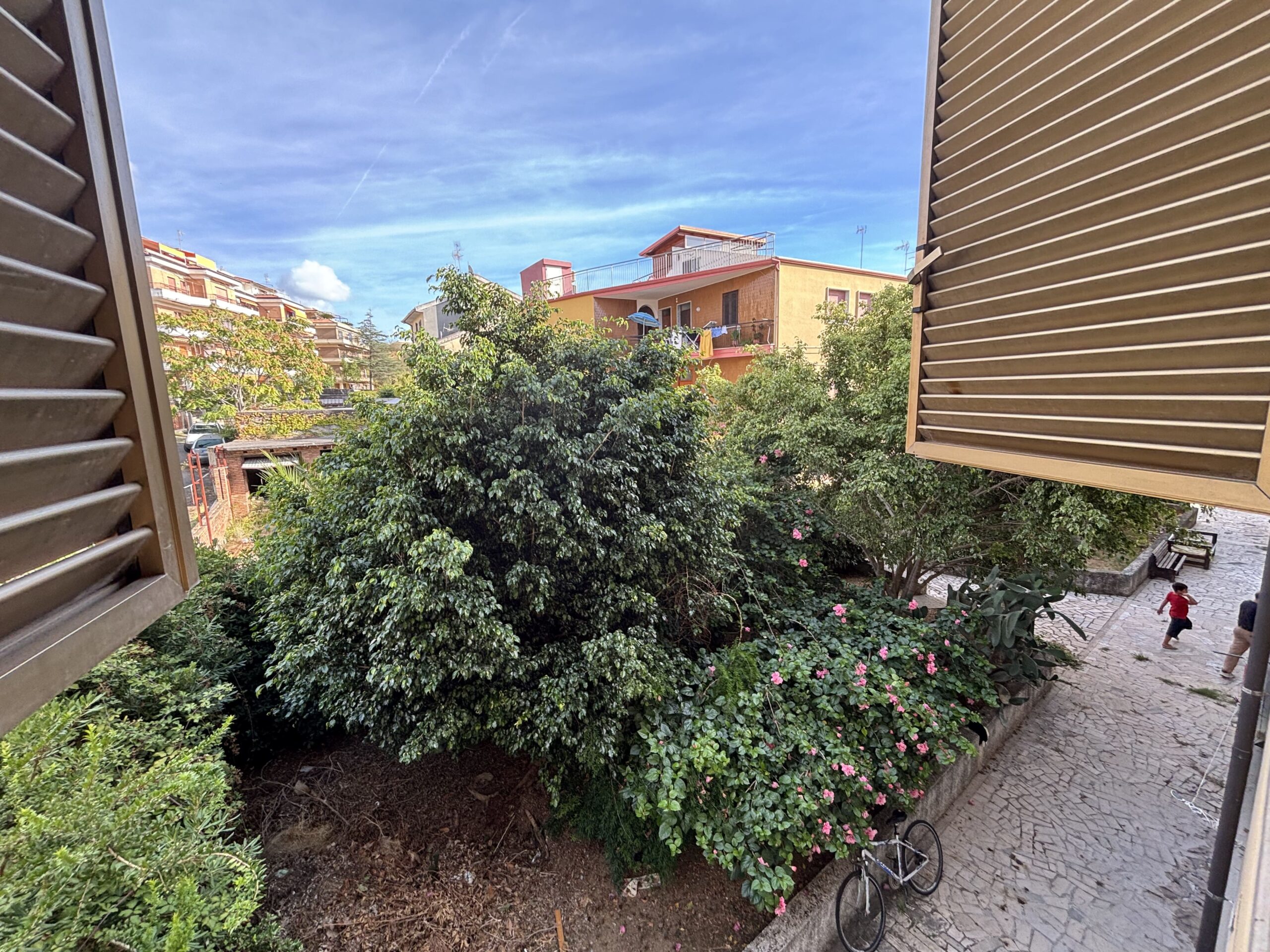 Belvedere Marittimo - flat 50 metres from the sea.