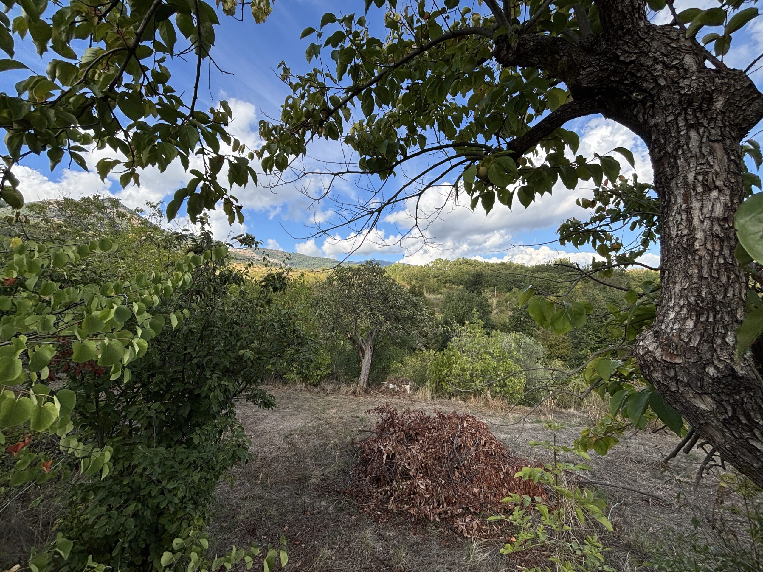 A plot of land with house and outbuildings with great potential in San Donato di Ninea.