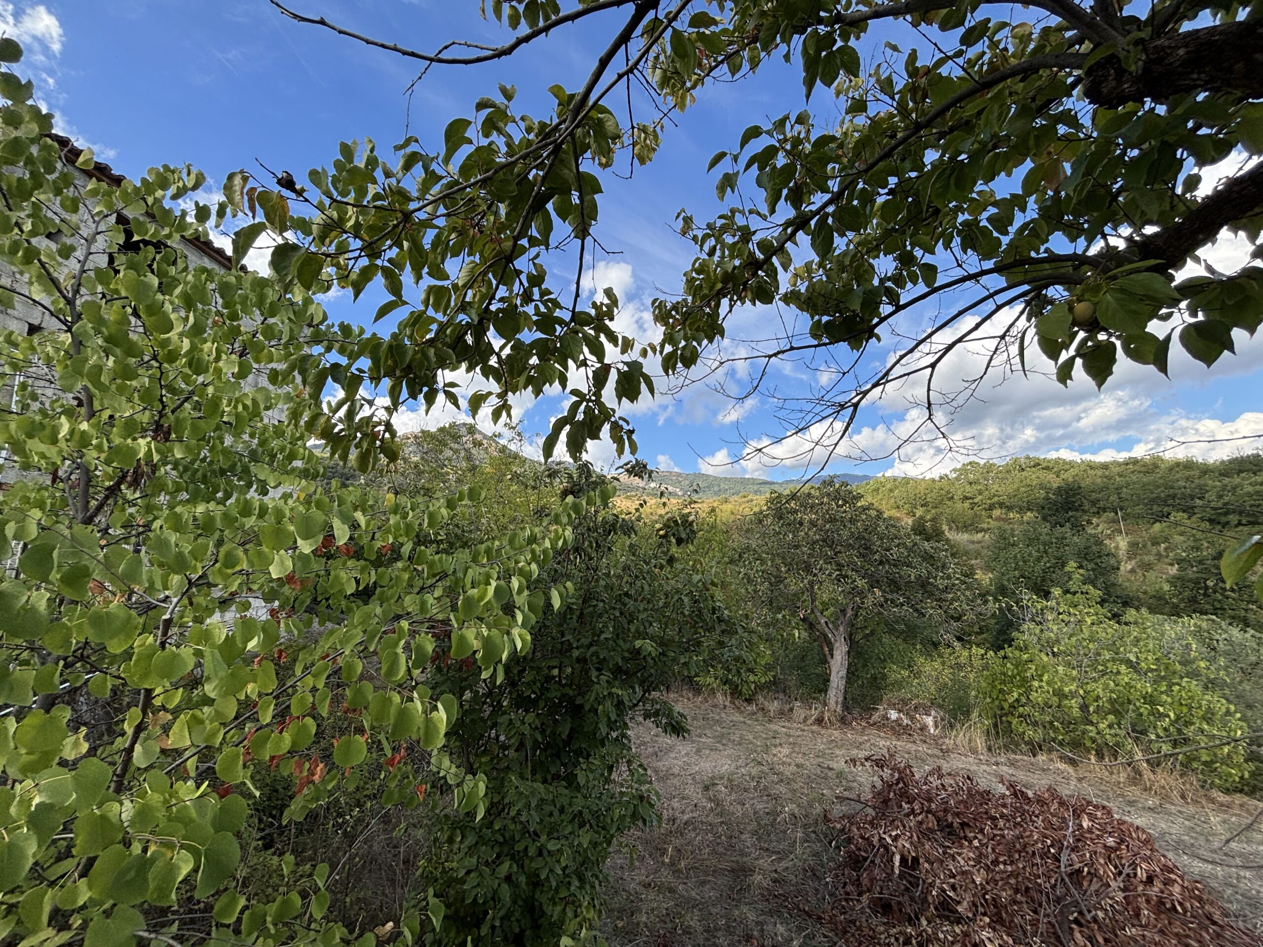 A plot of land with house and outbuildings with great potential in San Donato di Ninea.