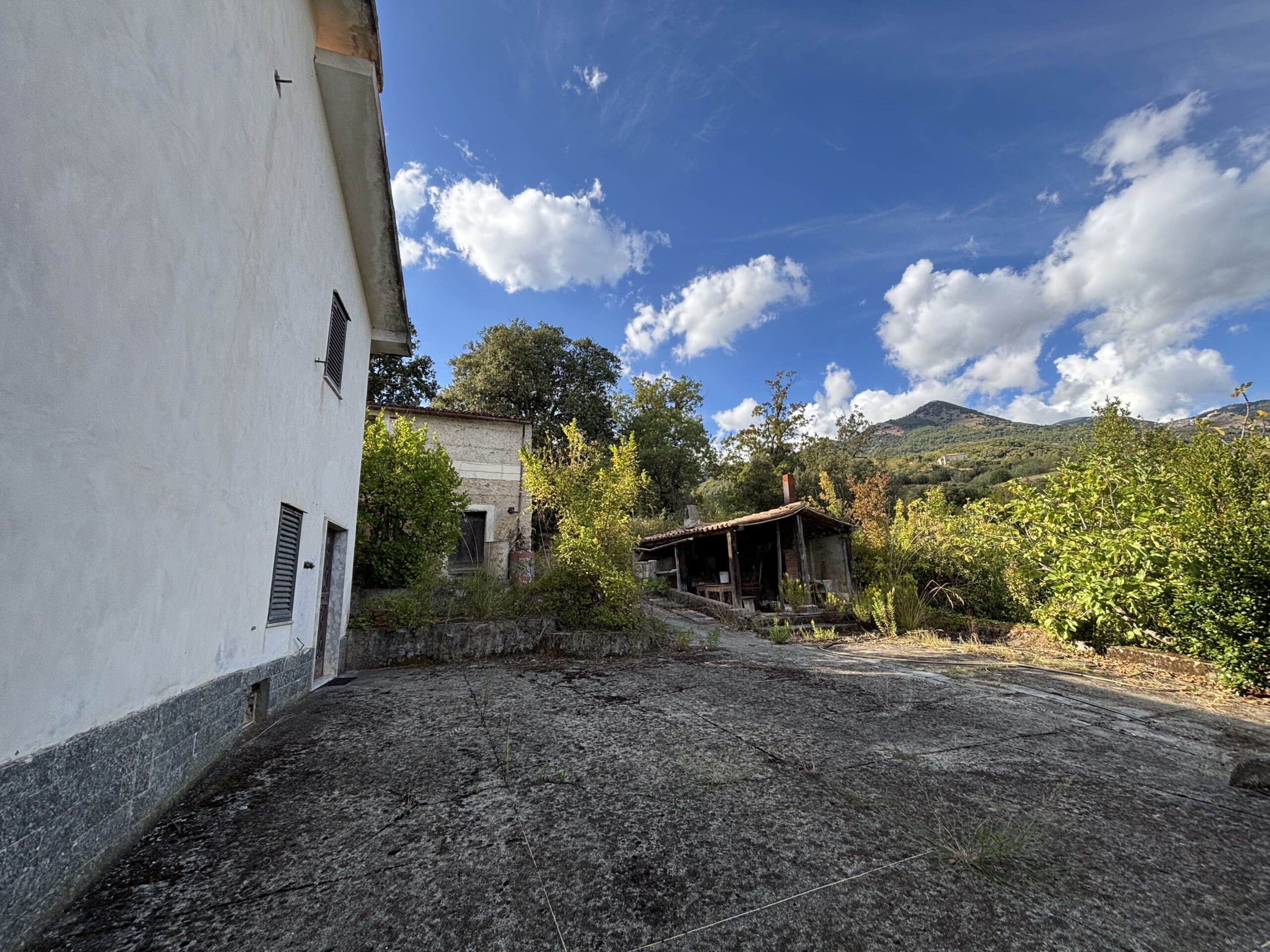 A plot of land with house and outbuildings with great potential in San Donato di Ninea.