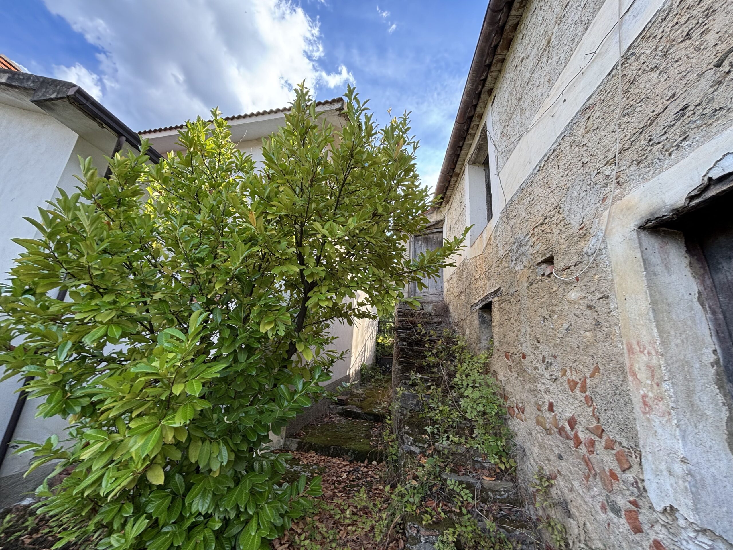 A plot of land with house and outbuildings with great potential in San Donato di Ninea.