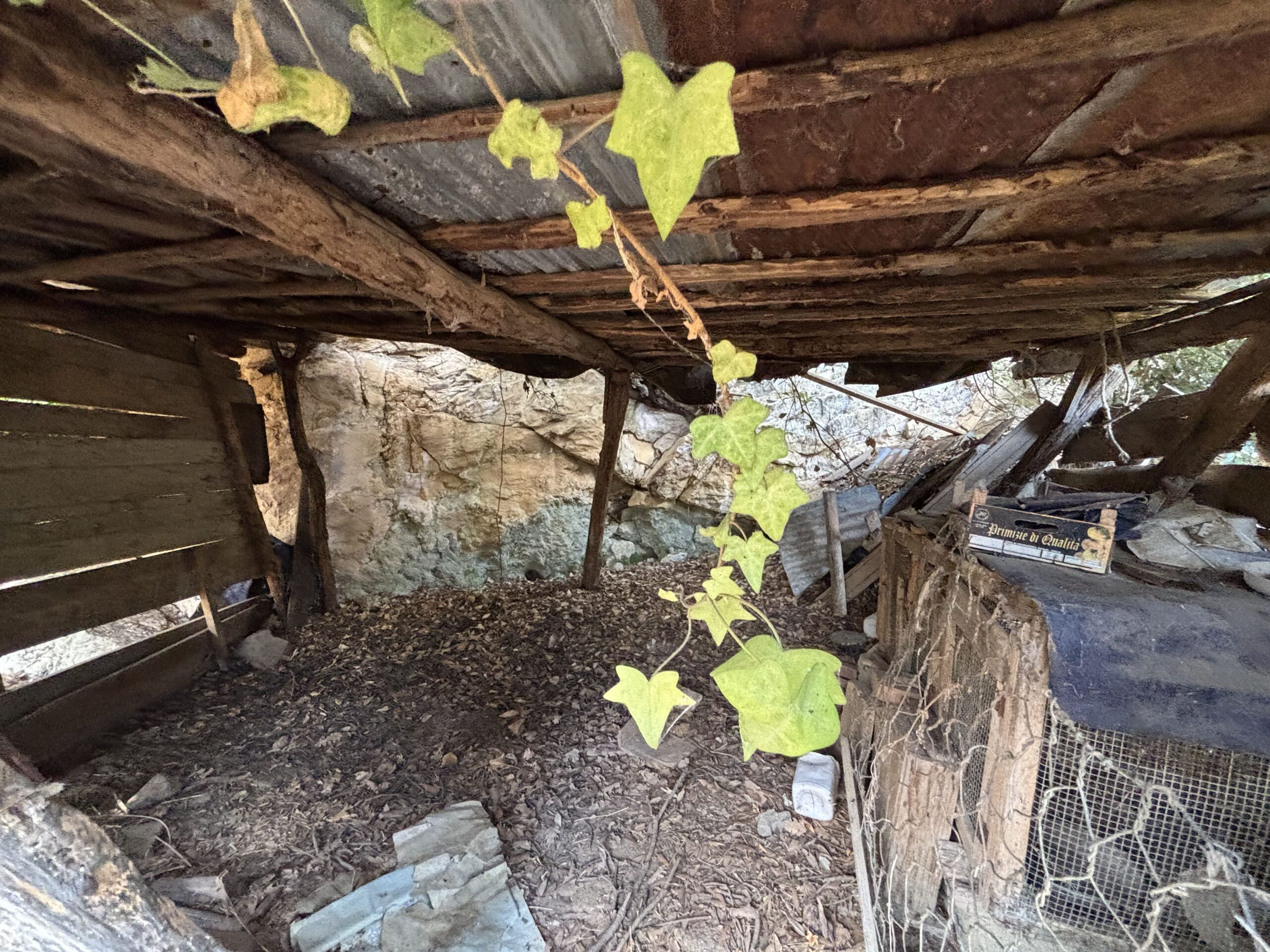 A plot of land with house and outbuildings with great potential in San Donato di Ninea.