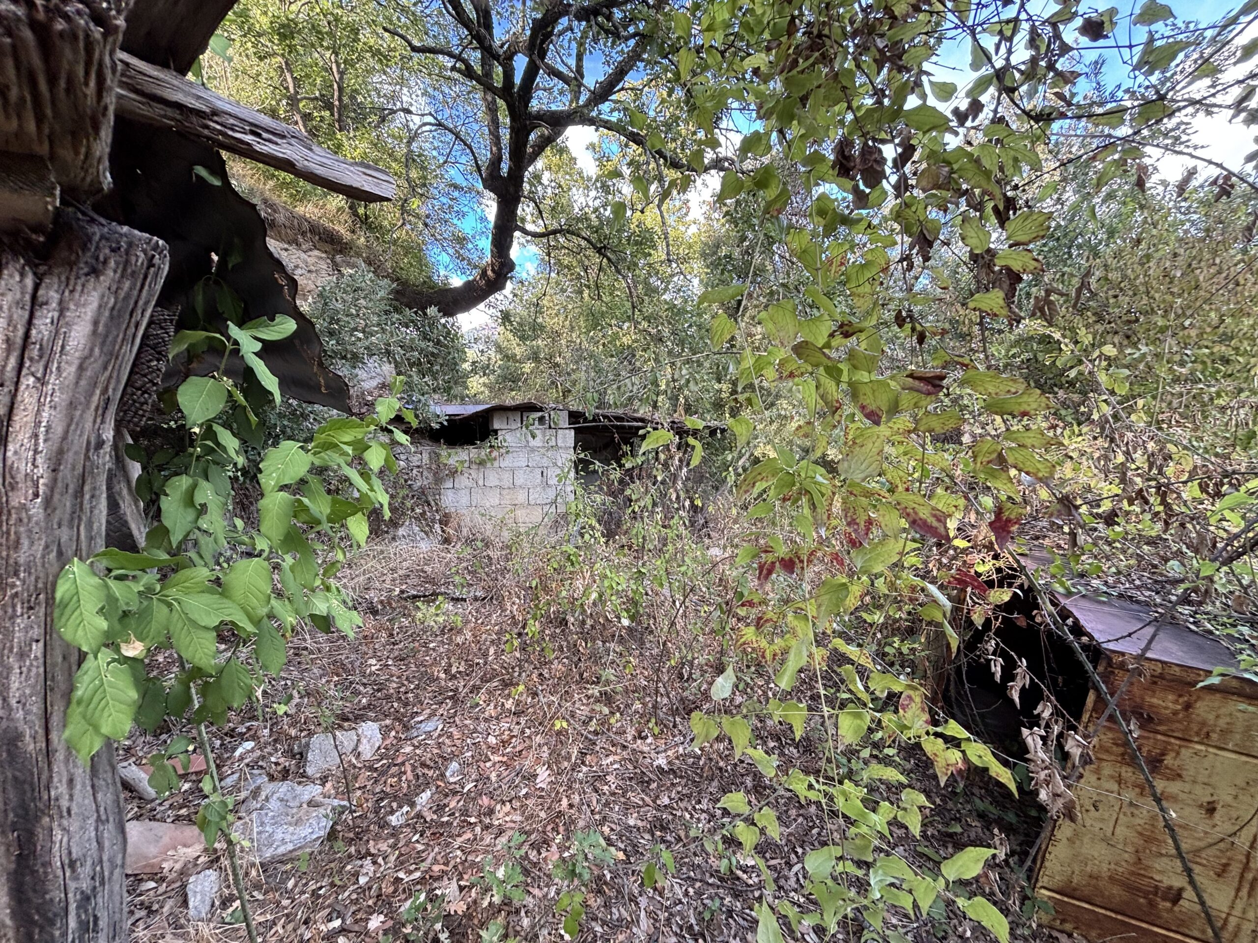 A plot of land with house and outbuildings with great potential in San Donato di Ninea.