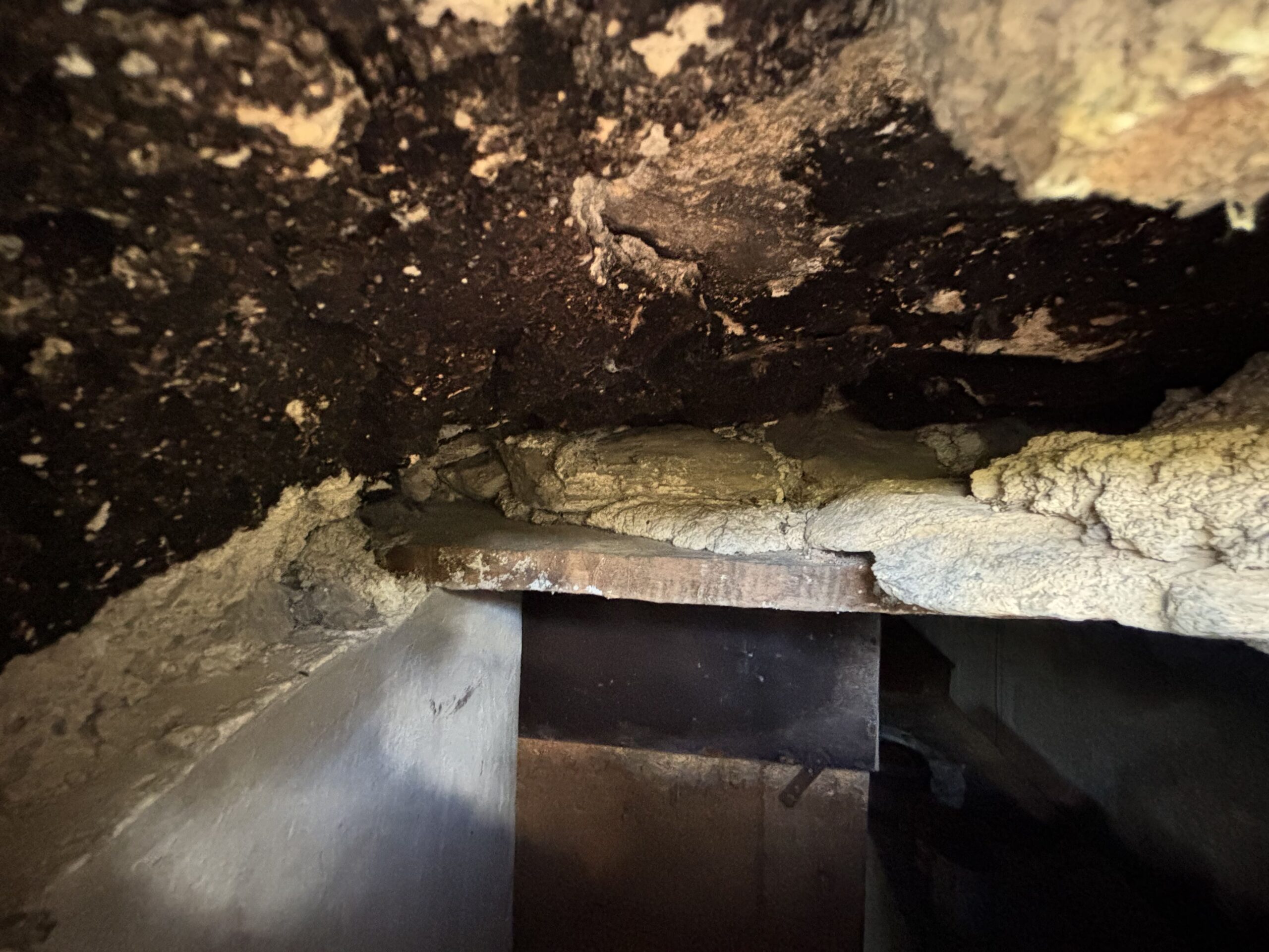 A plot of land with house and outbuildings with great potential in San Donato di Ninea.