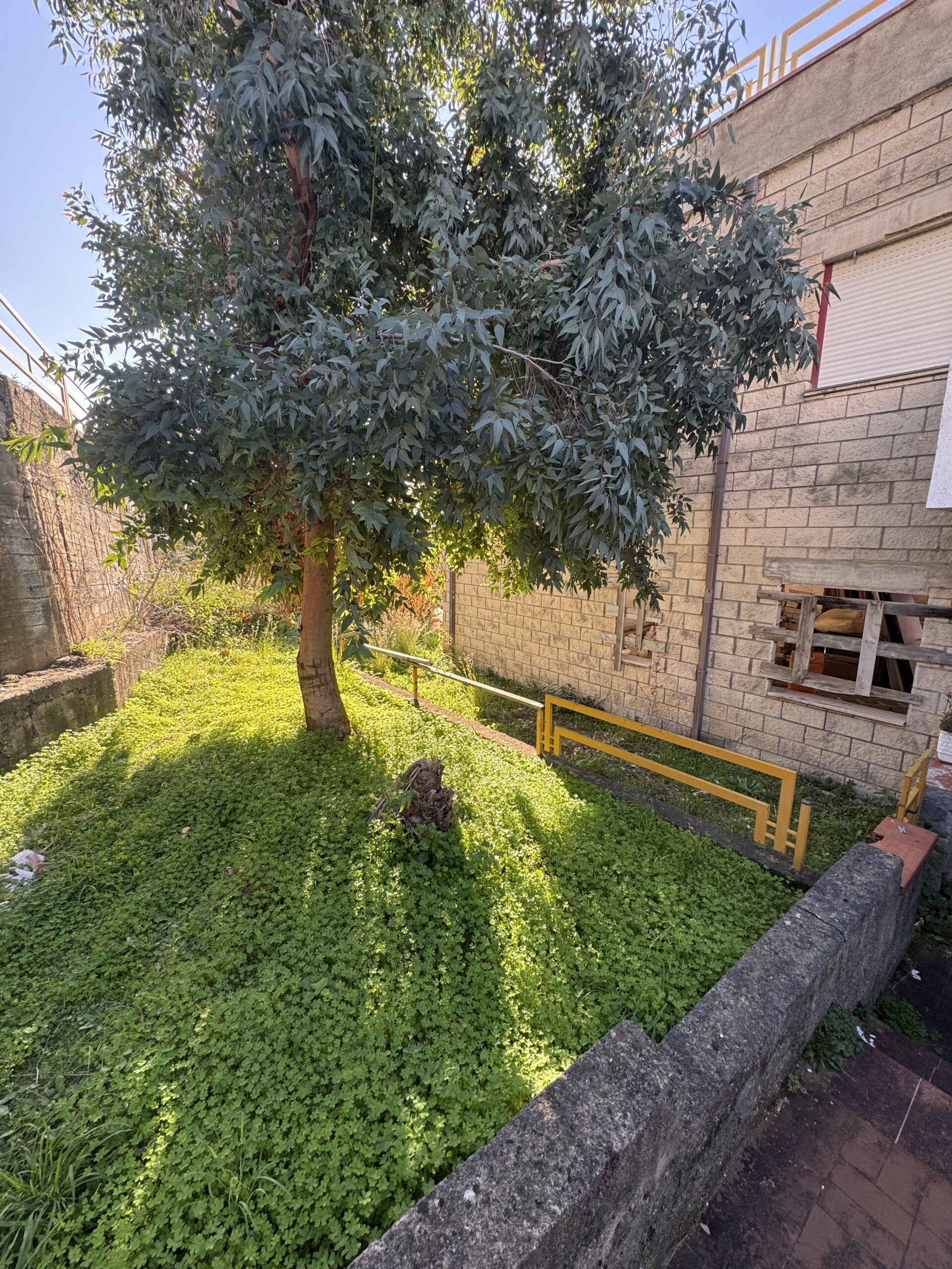 A flat with sea view in San Nicola Arcella.