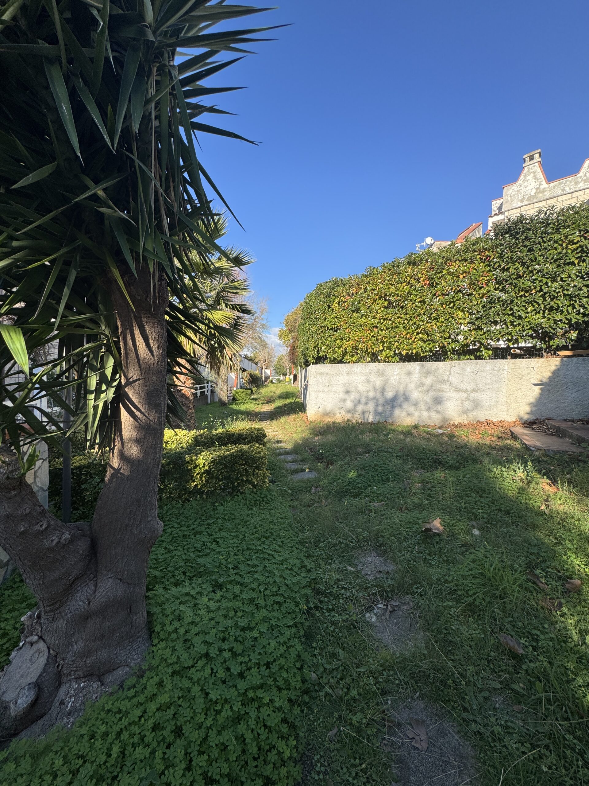 A flat with sea view in San Nicola Arcella.