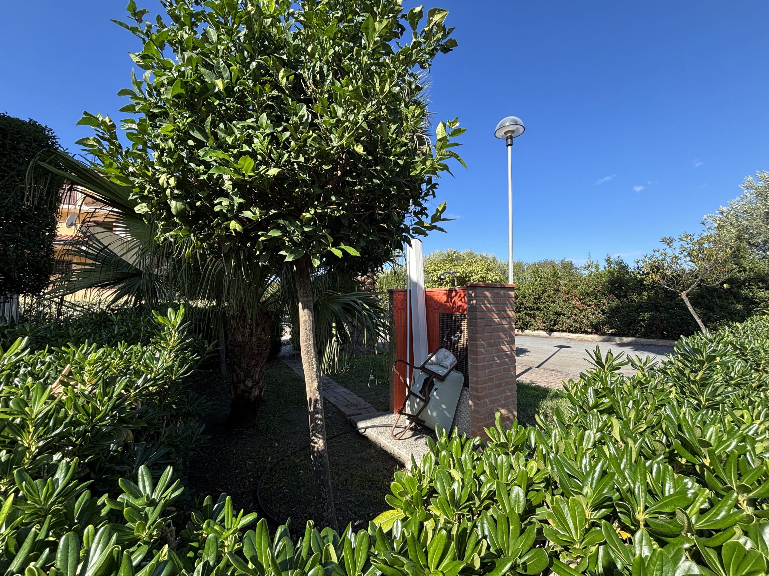 High ground flat in Longobardi.