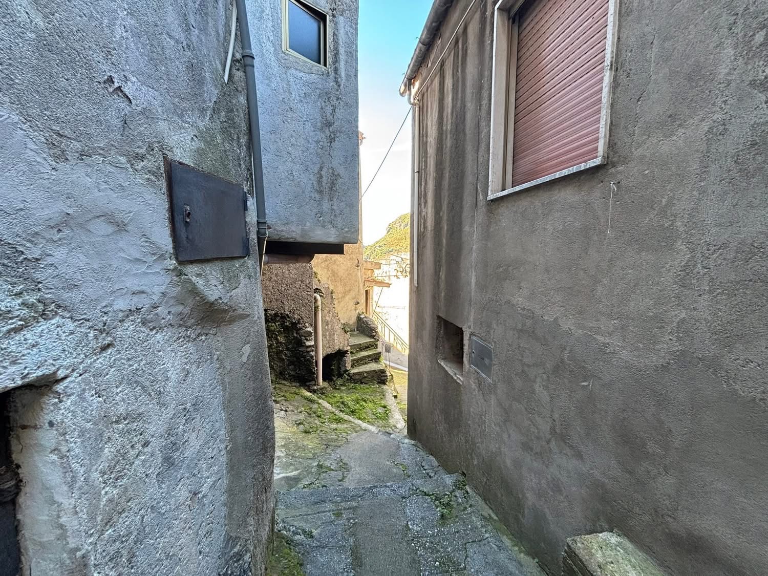 Property amidst mountains and wildlife in Orsomarso.