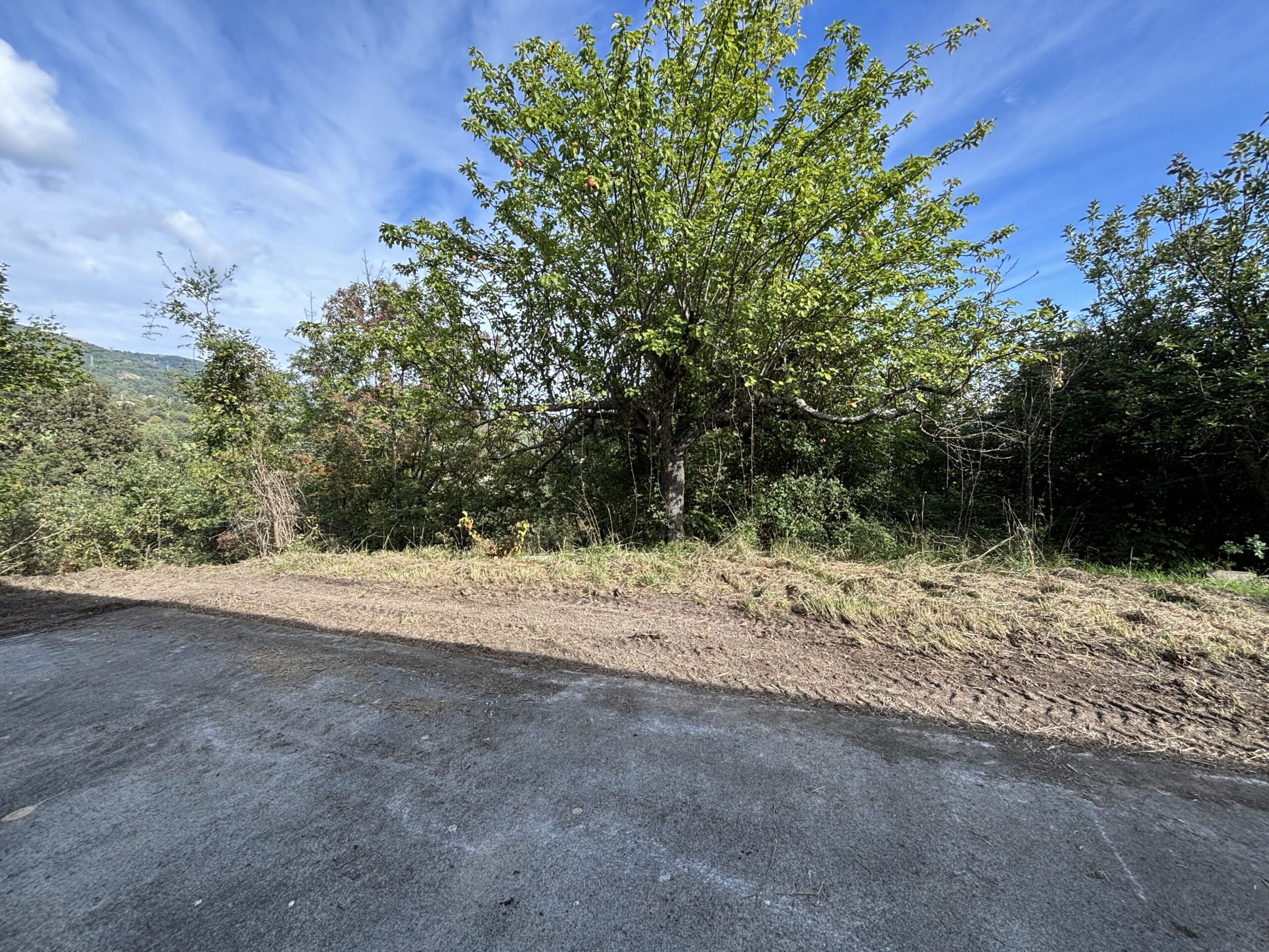 Nemoli-Roccazzo - house to renovate with large garden, surrounded by greenery.