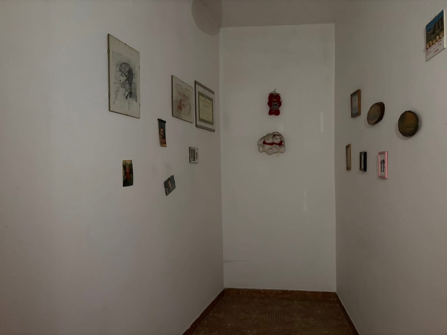 Property amidst mountains and wildlife in Orsomarso.