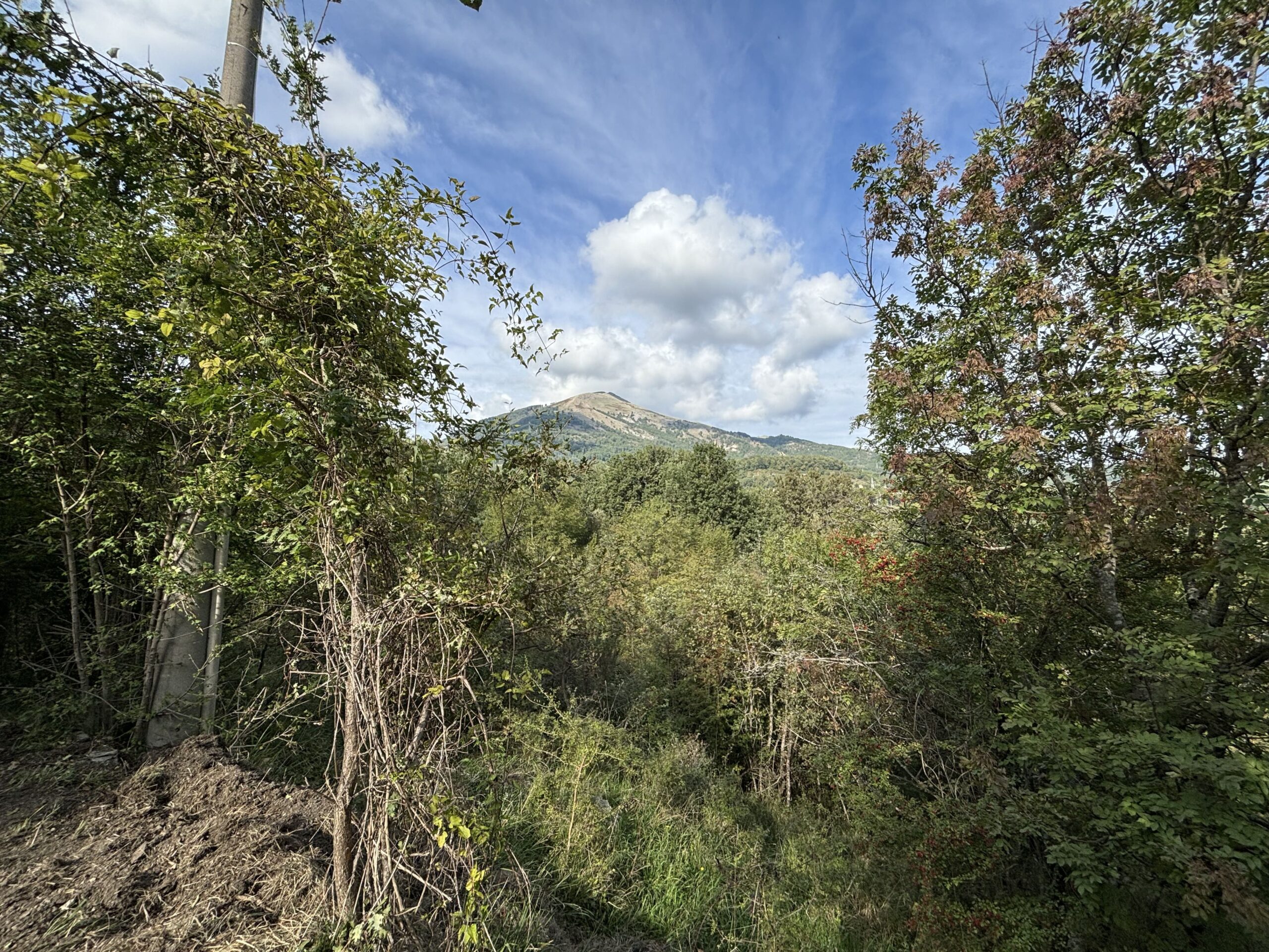Nemoli-Roccazzo - house to renovate with large garden, surrounded by greenery.