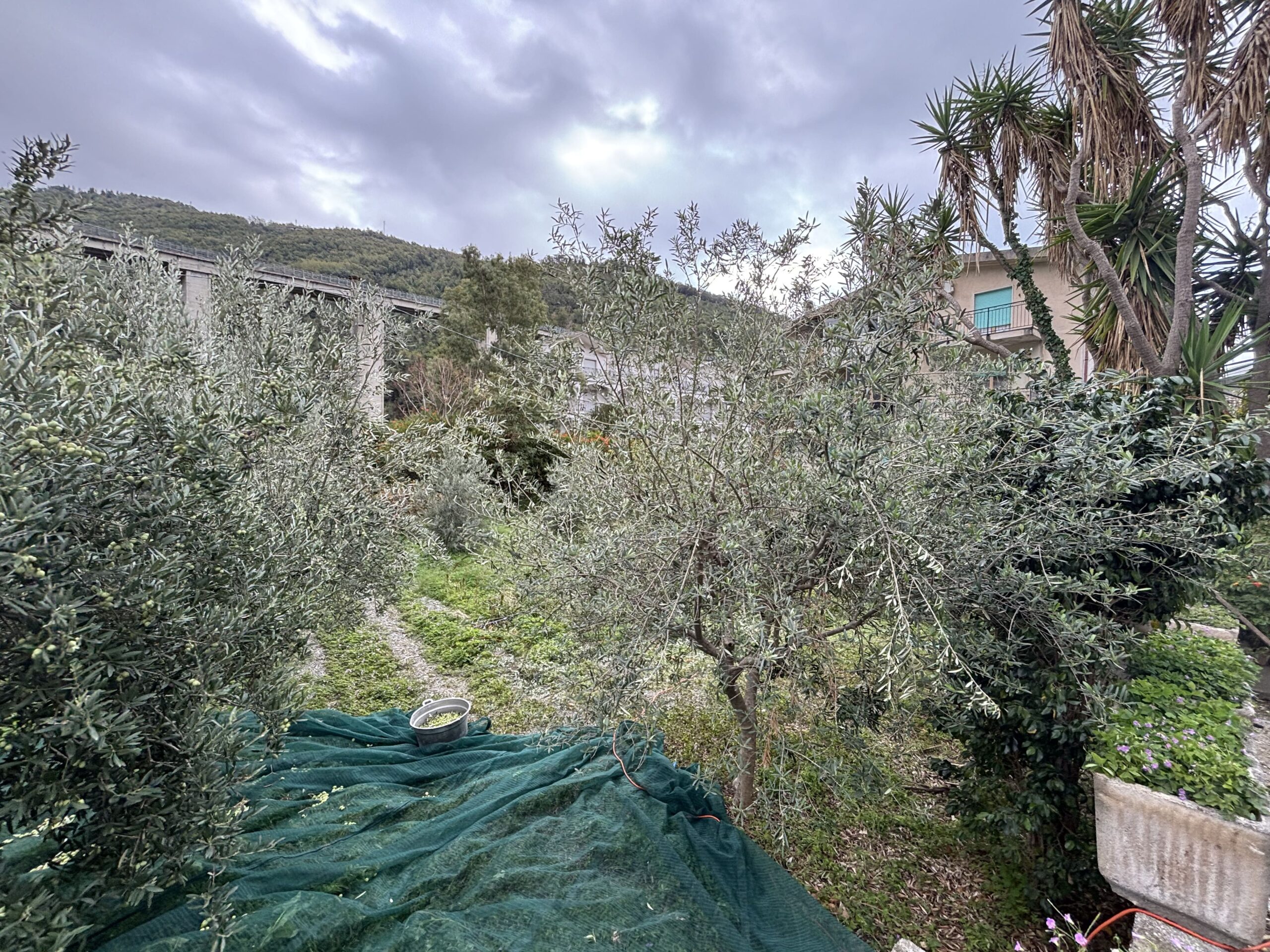 Three-storey house with garage in Santa Rosalia (Acquappesa).