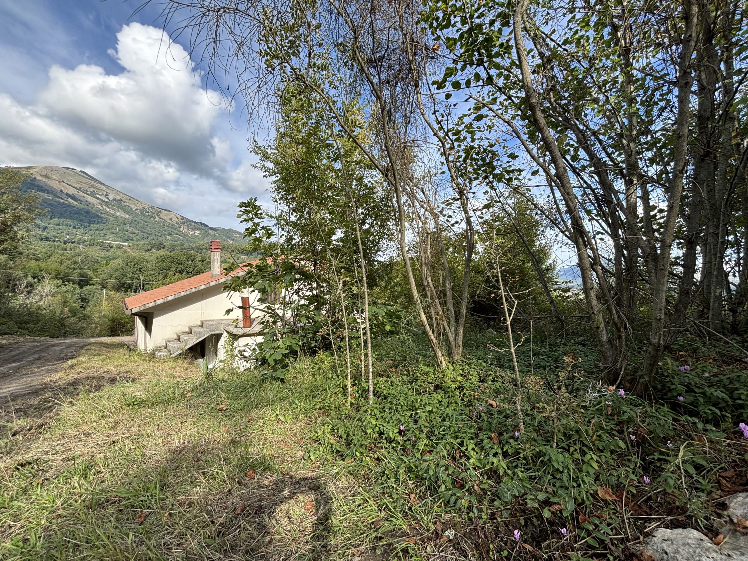 Nemoli-Roccazzo - house to renovate with large garden, surrounded by greenery.