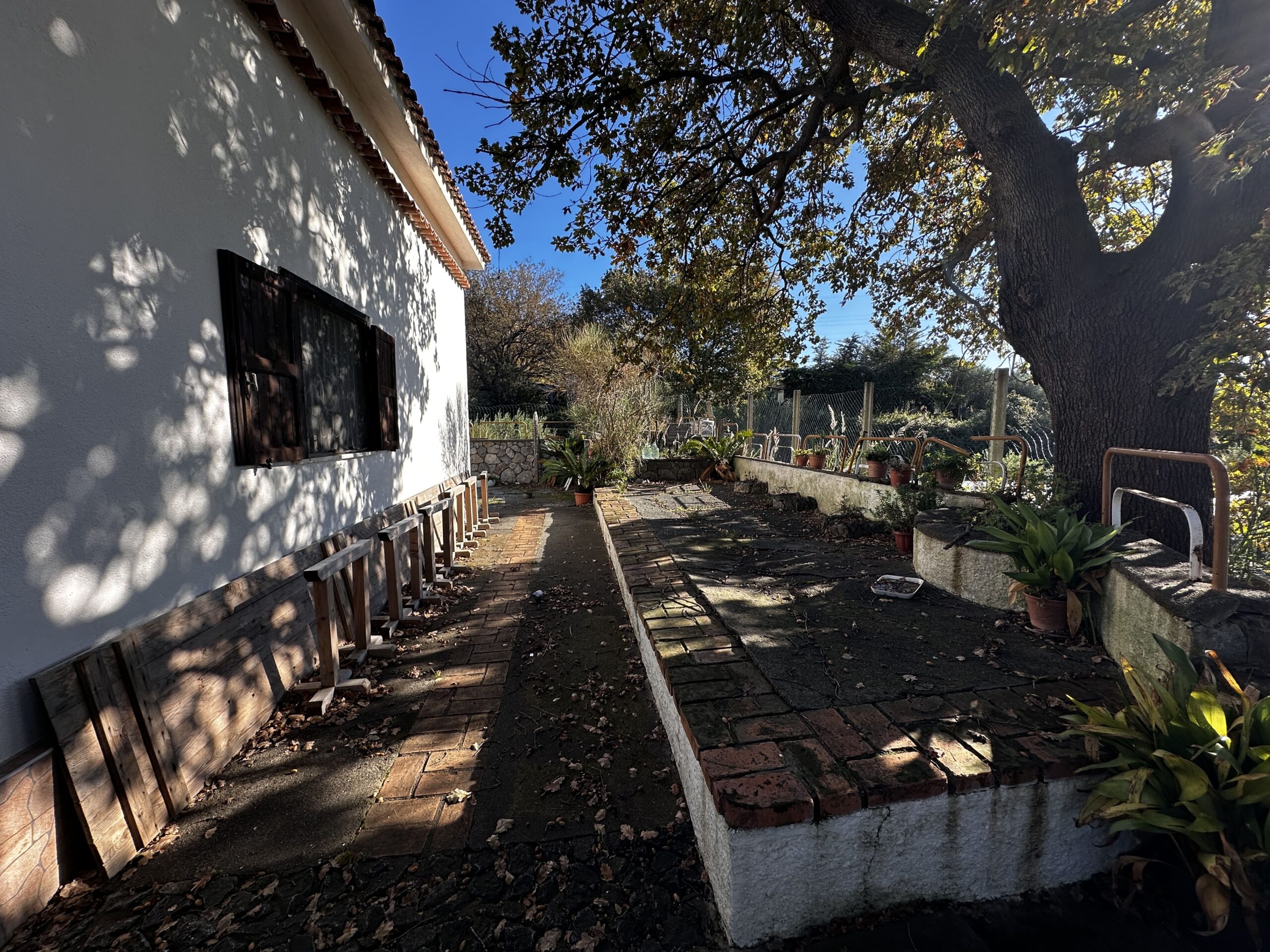 Exclusive villa with garden and sea views in San Nicola Arcella.