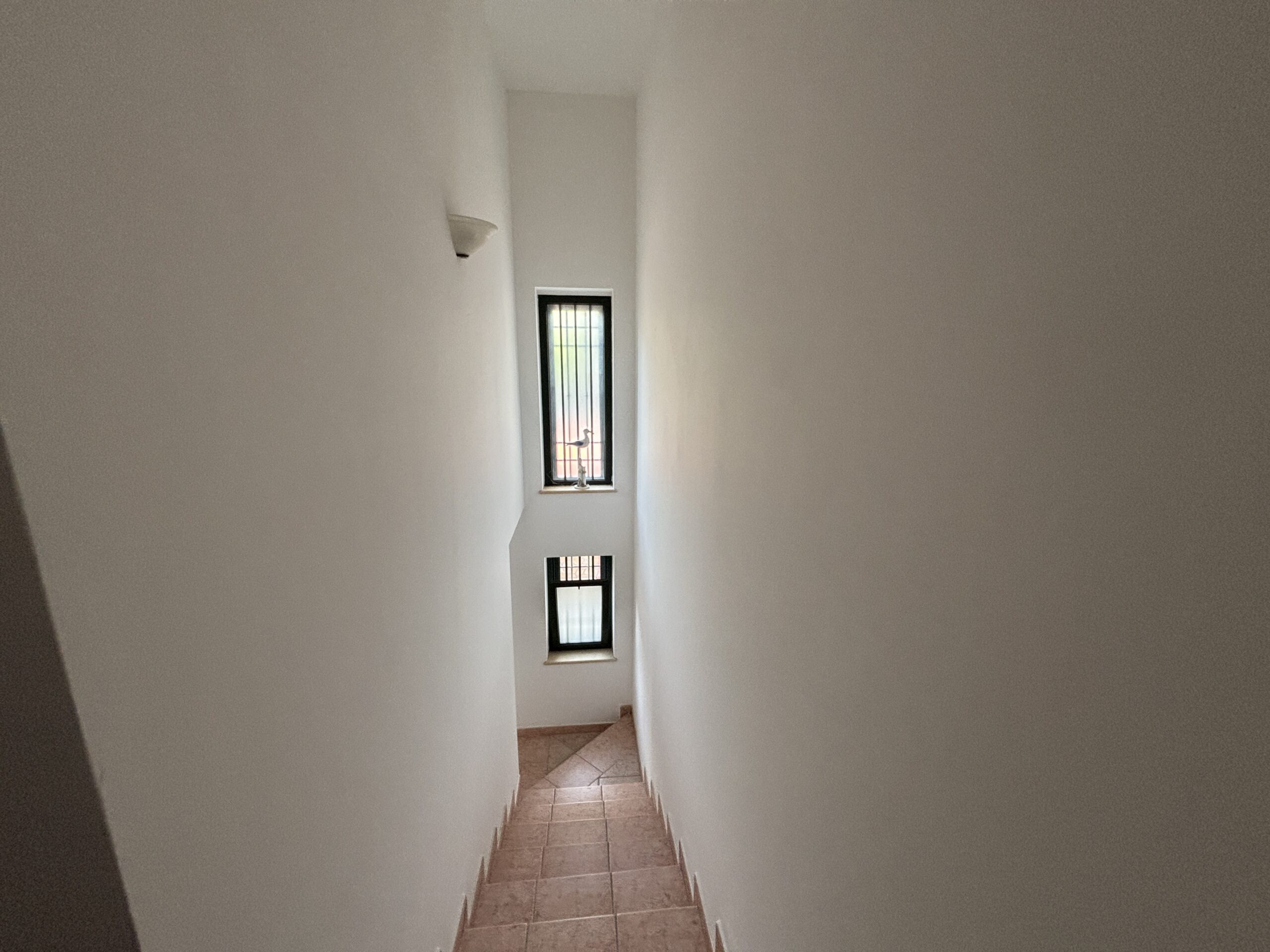 Exclusive villa in Santa Litterata/ Belvedere - garden, terrace, sea view.