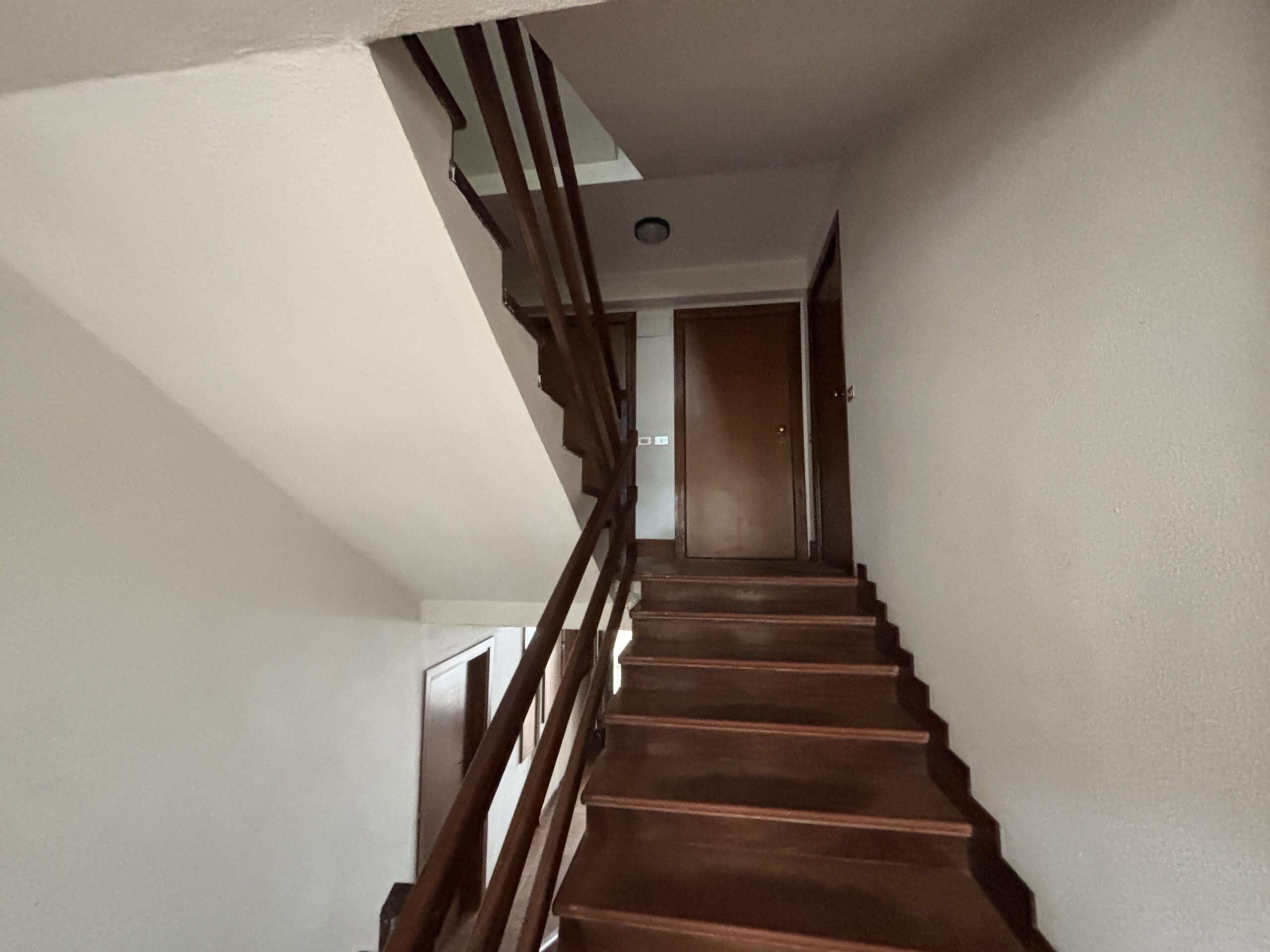 Camigliatello Silano - your winter mountain residence in the heart of Calabria.