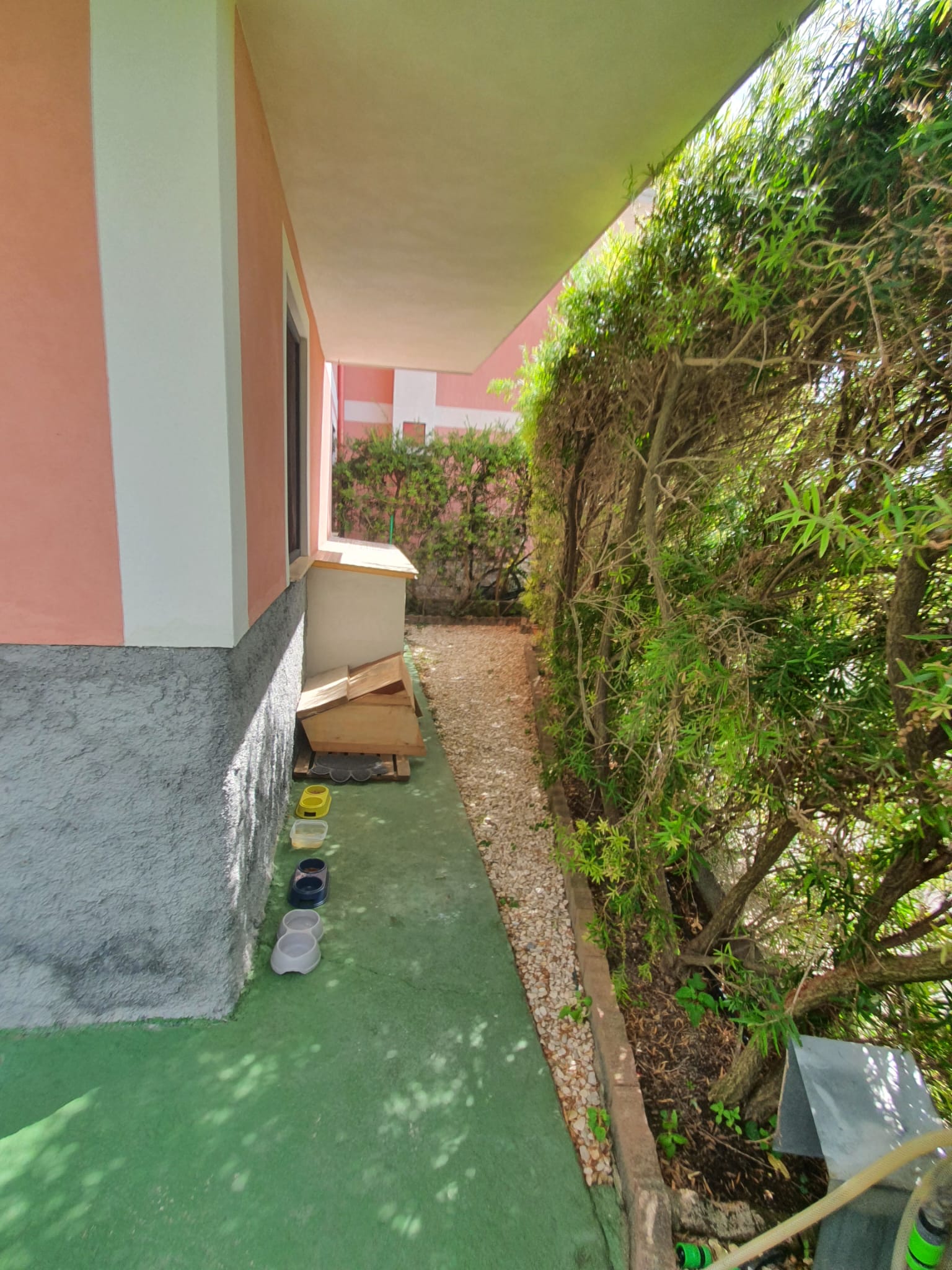 Your dream Italian villa in Santa Domenica Talao.