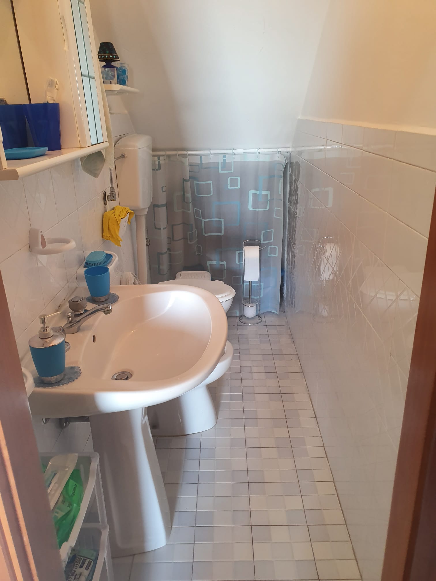 Your dream Italian villa in Santa Domenica Talao.