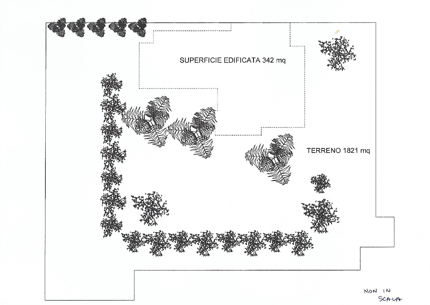 Prestiżowa willa wśród zieleni z oszałamiającym ogrodem w Carrara