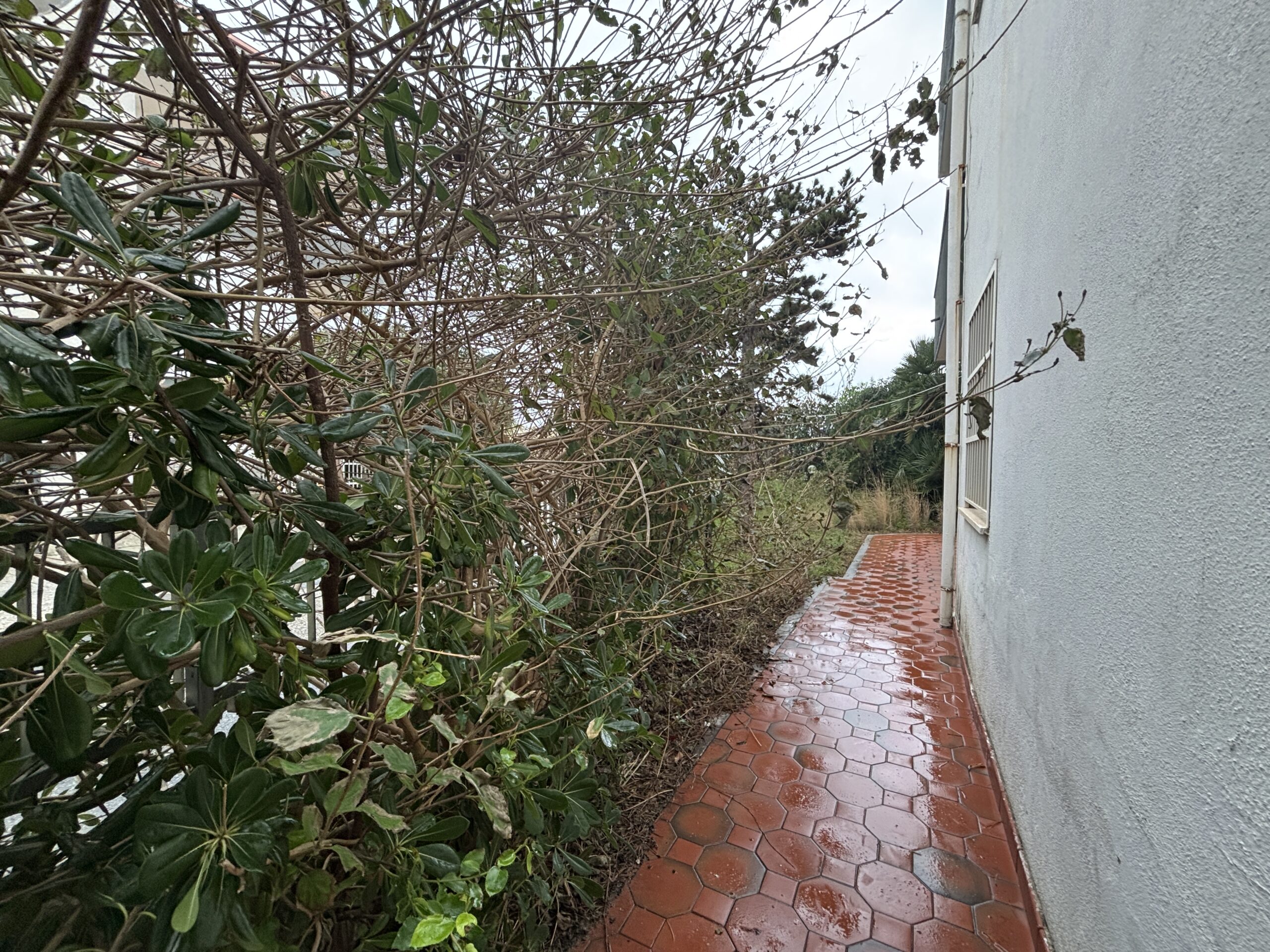 Home a few steps from the sea.