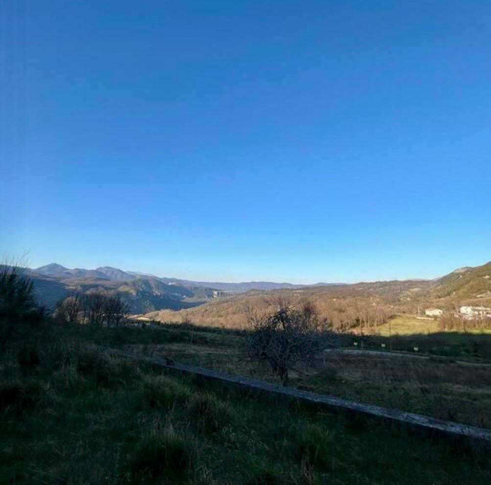 Freehold villa surrounded by greenery.