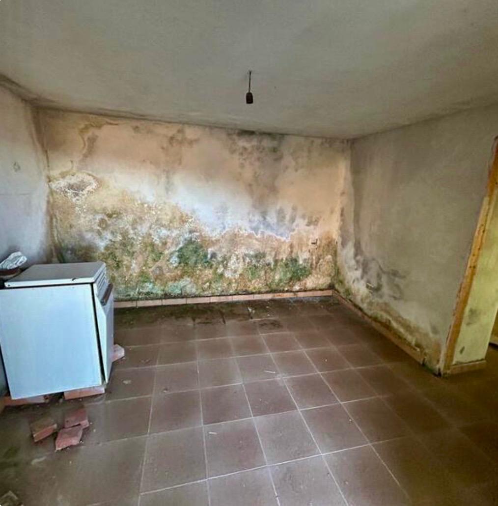 Freehold villa surrounded by greenery.