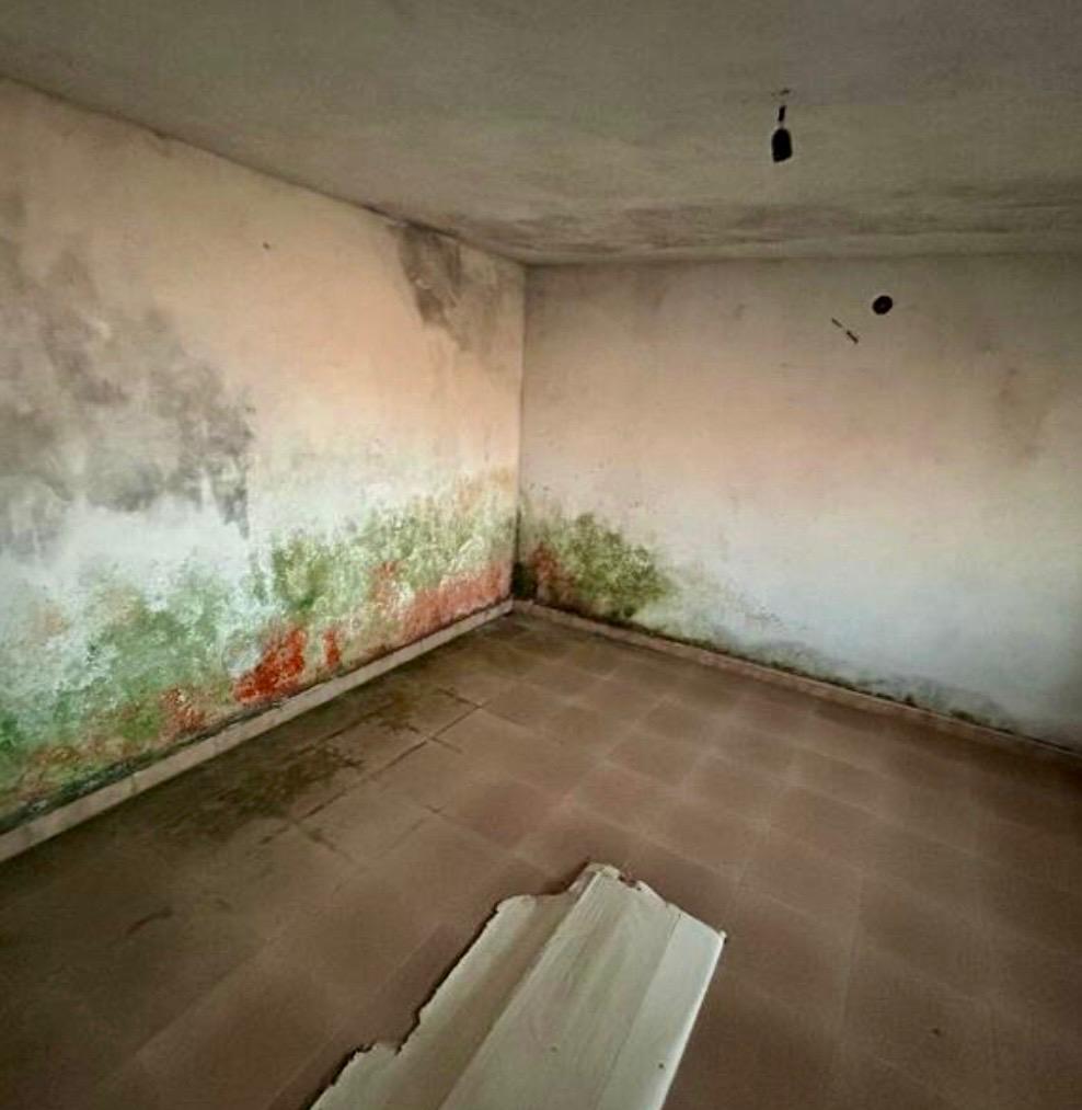 Freehold villa surrounded by greenery.