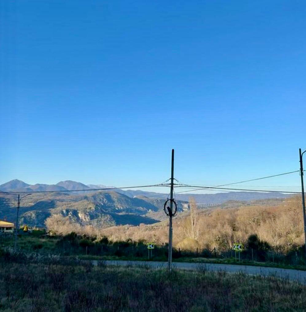 Freehold villa surrounded by greenery.