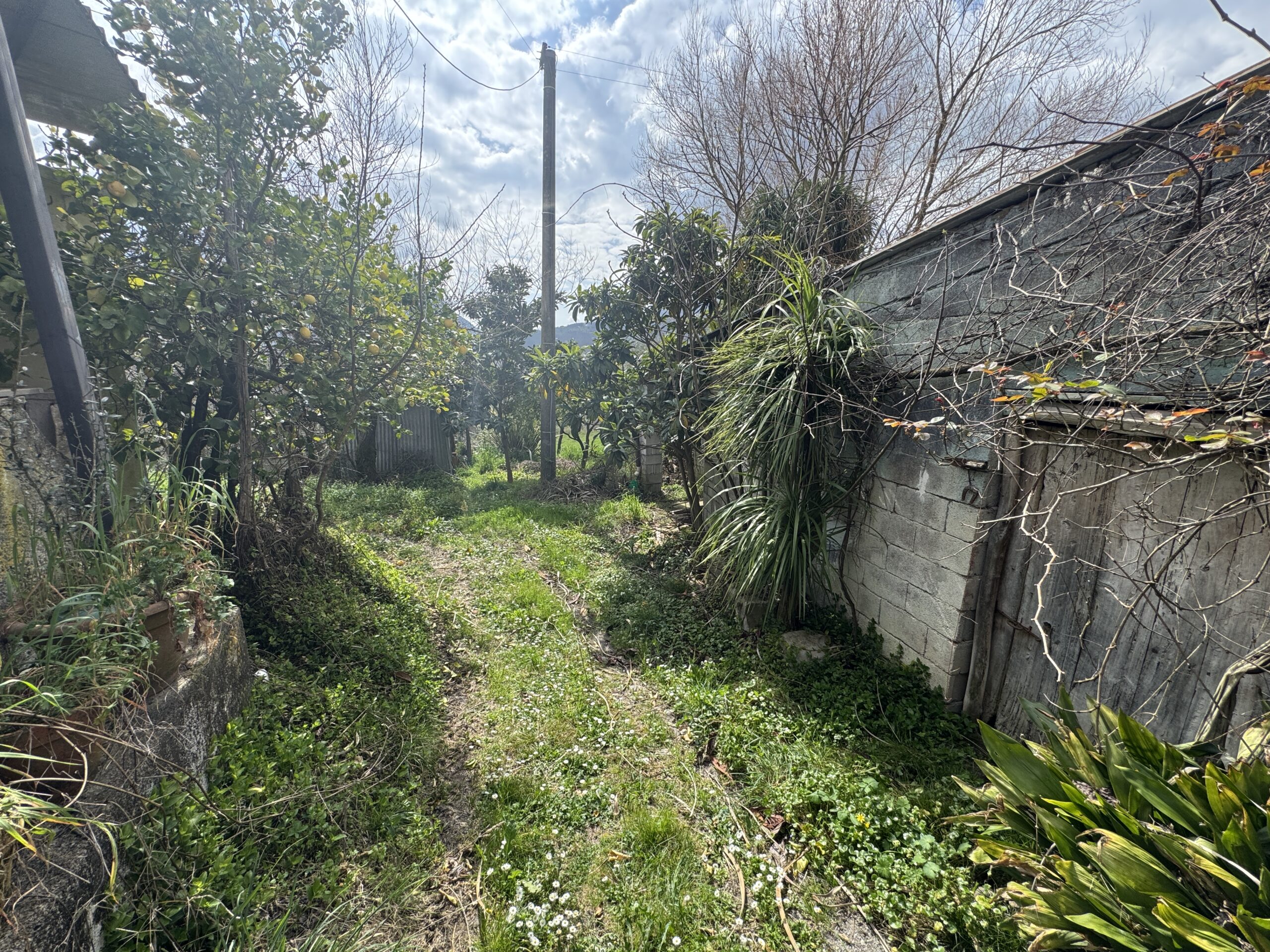 Large house in the middle of nature.