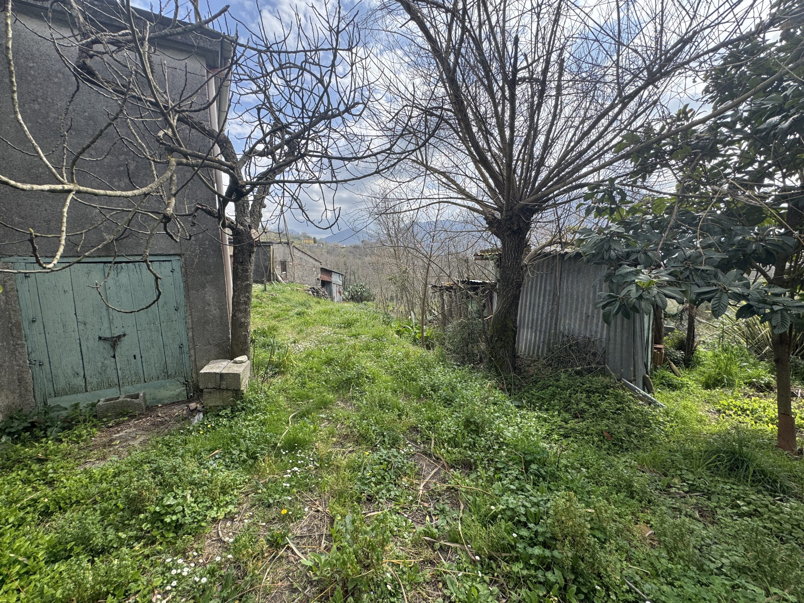 Large house in the middle of nature.