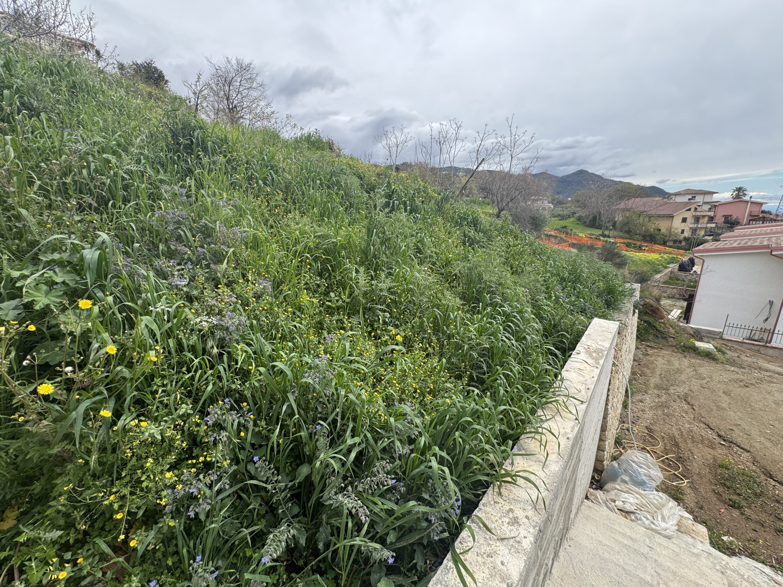 Villa overlooking Stromboli.