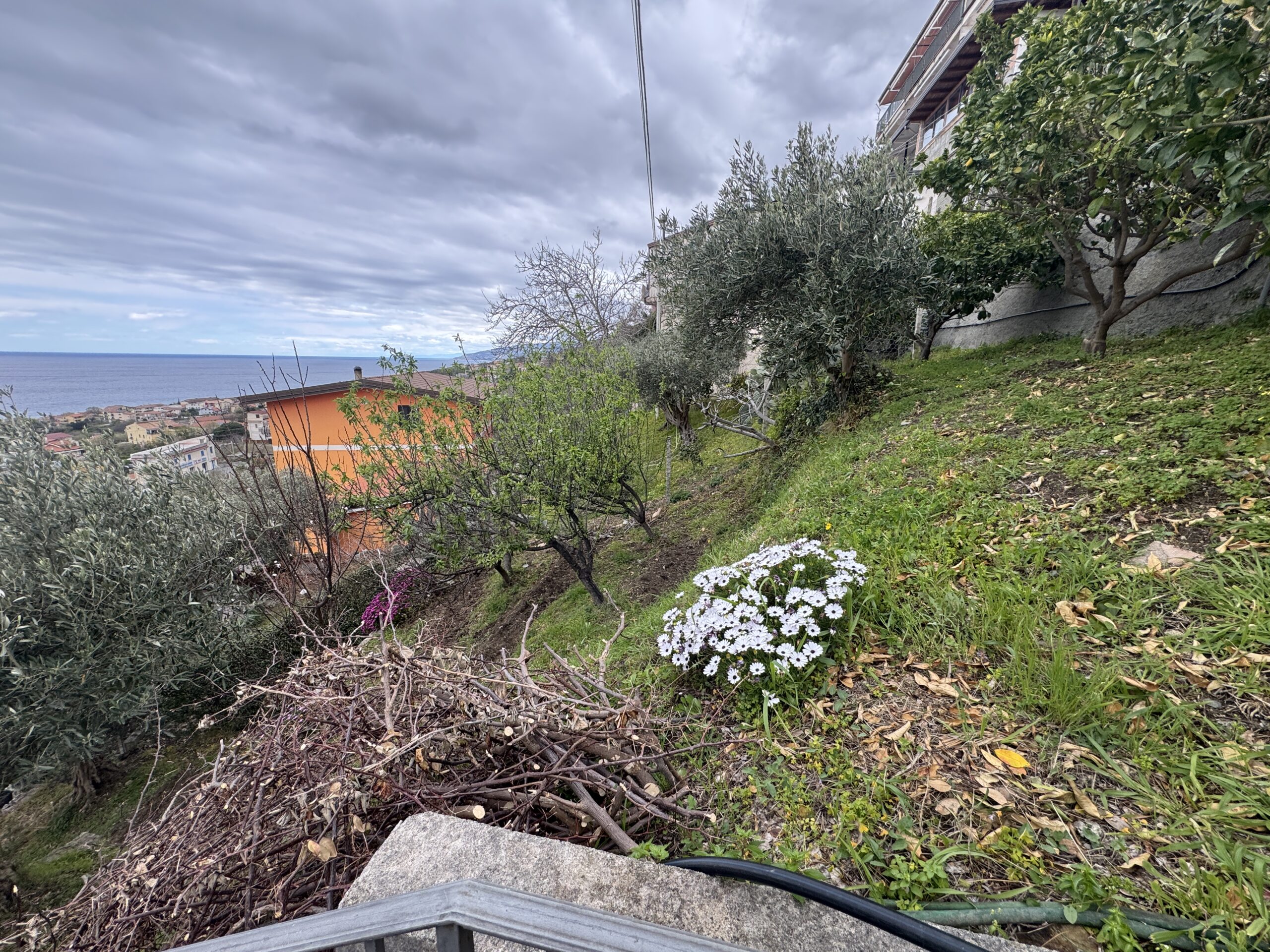 Great investment in Paola B&B.