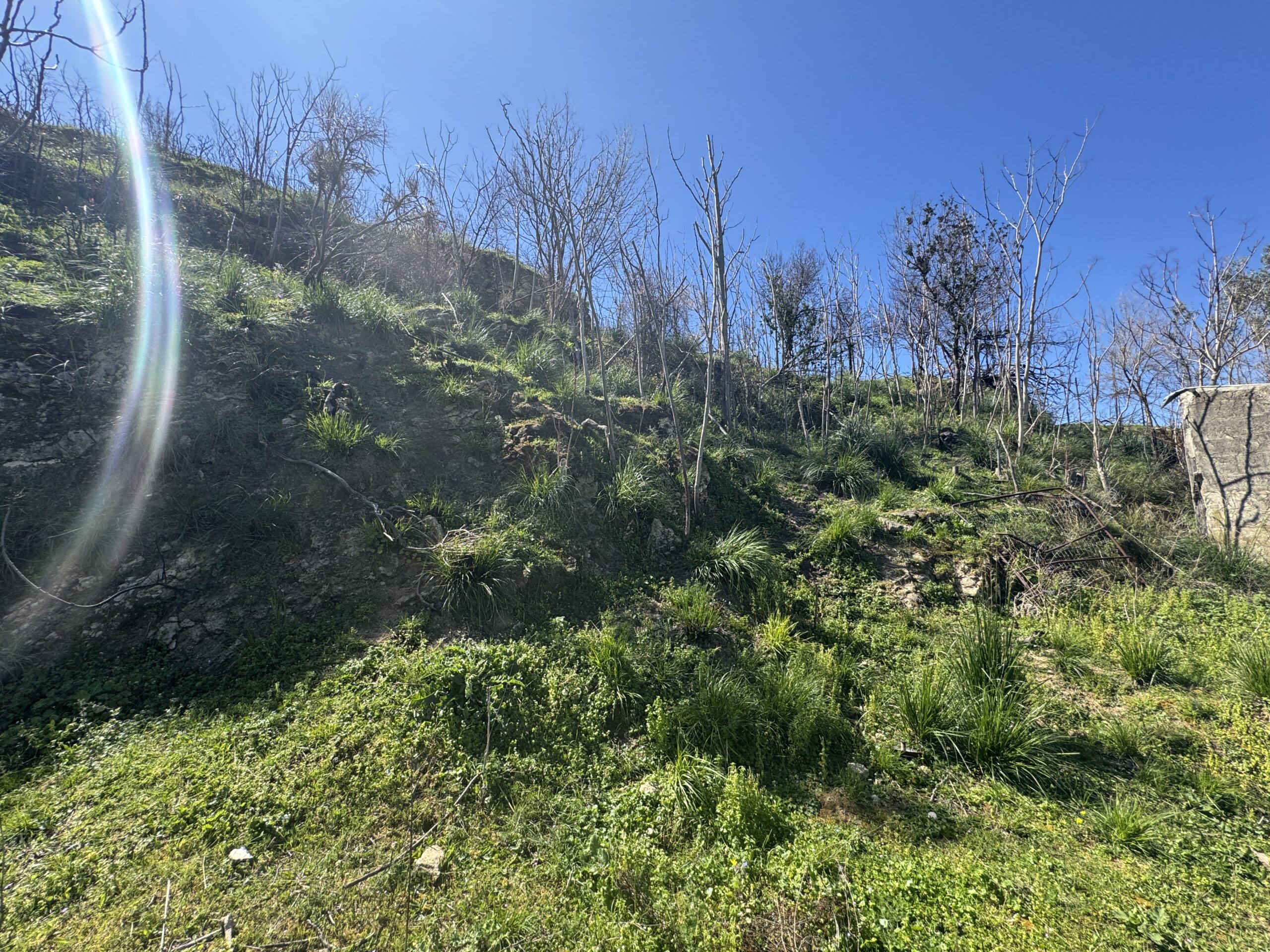 An old debris pit with large grounds and views of the Tyrrhenian Sea.