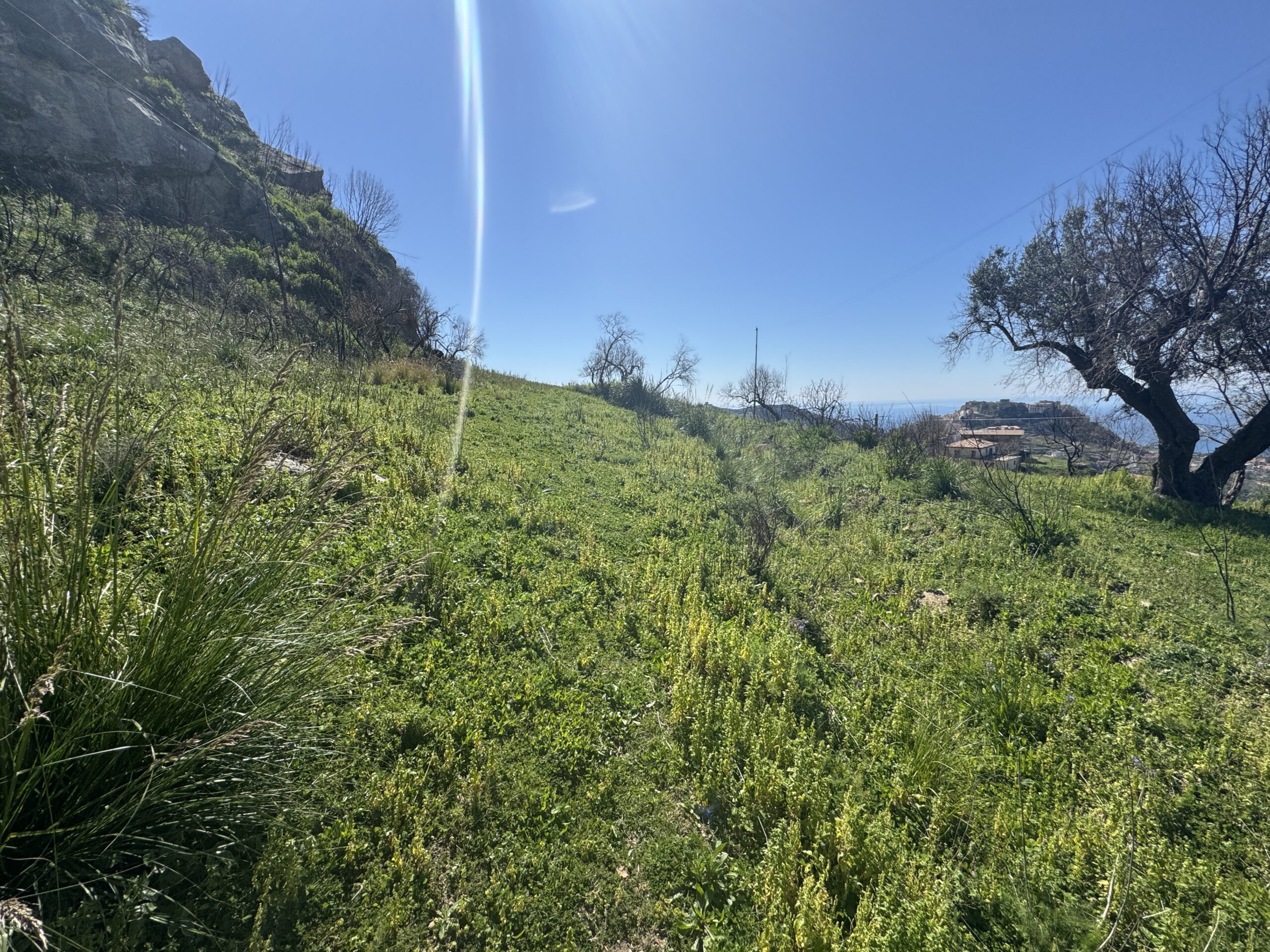 An old debris pit with large grounds and views of the Tyrrhenian Sea.