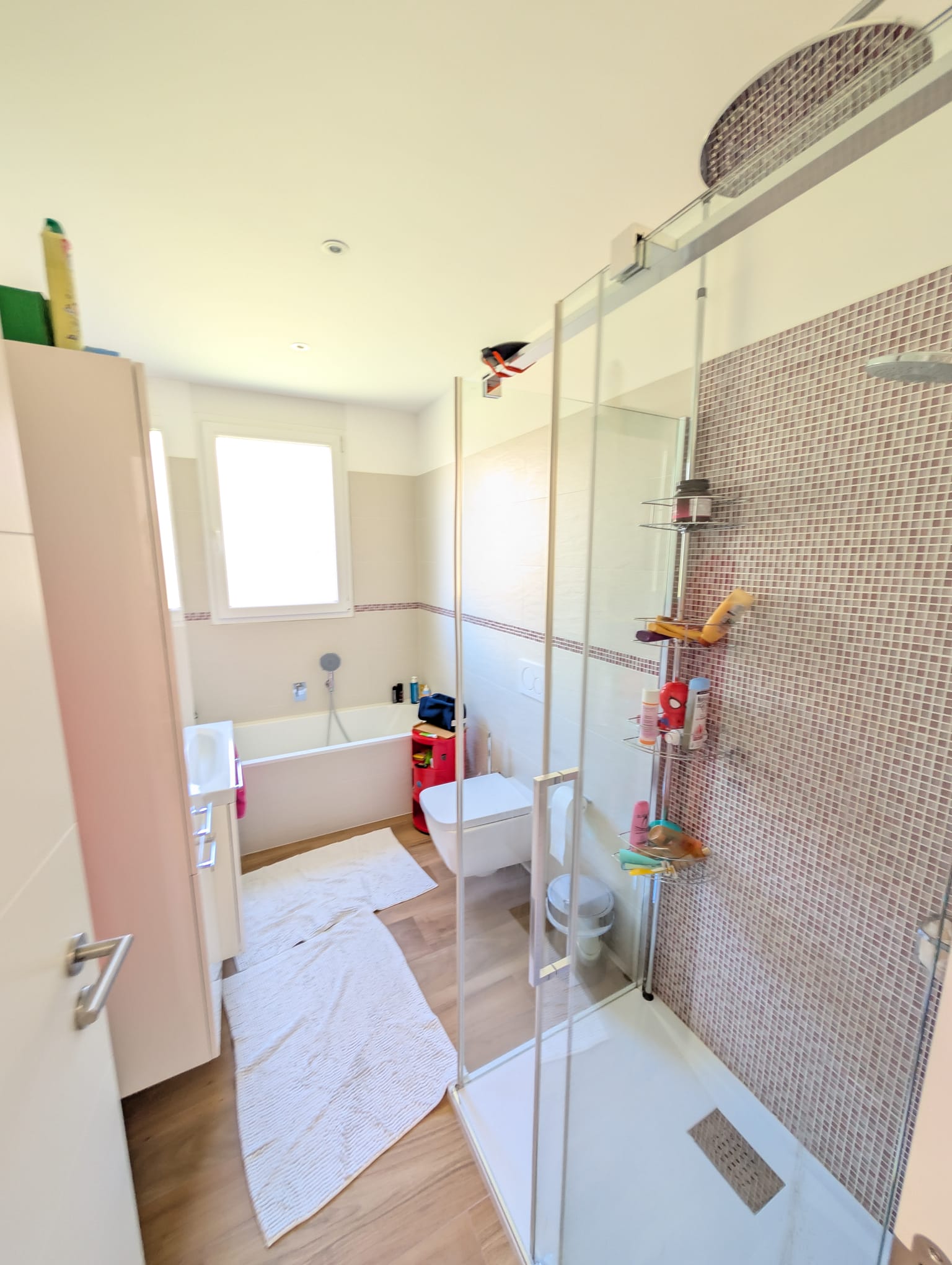 Luxury penthouse in Lugano