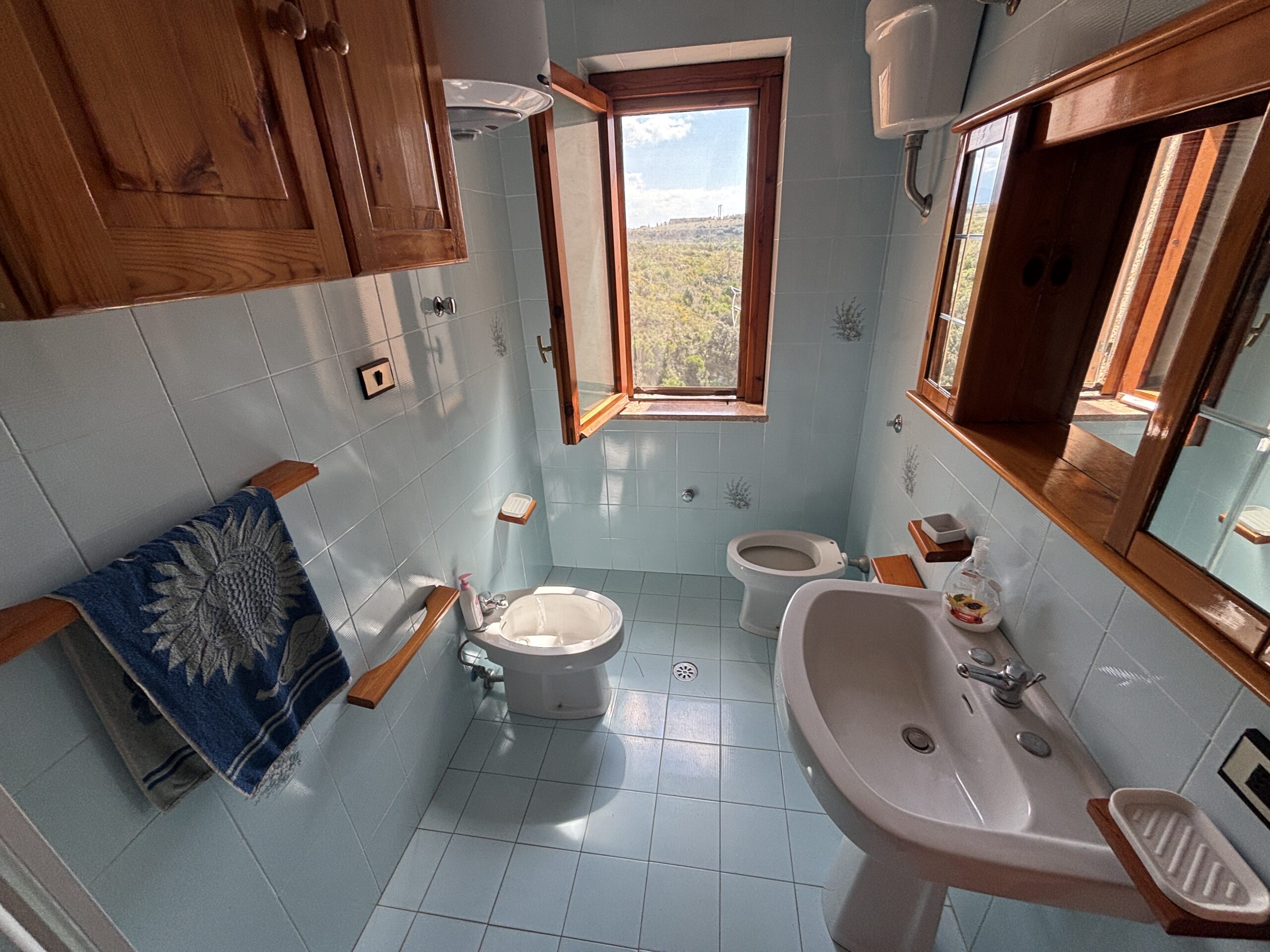 Bright house with sea view