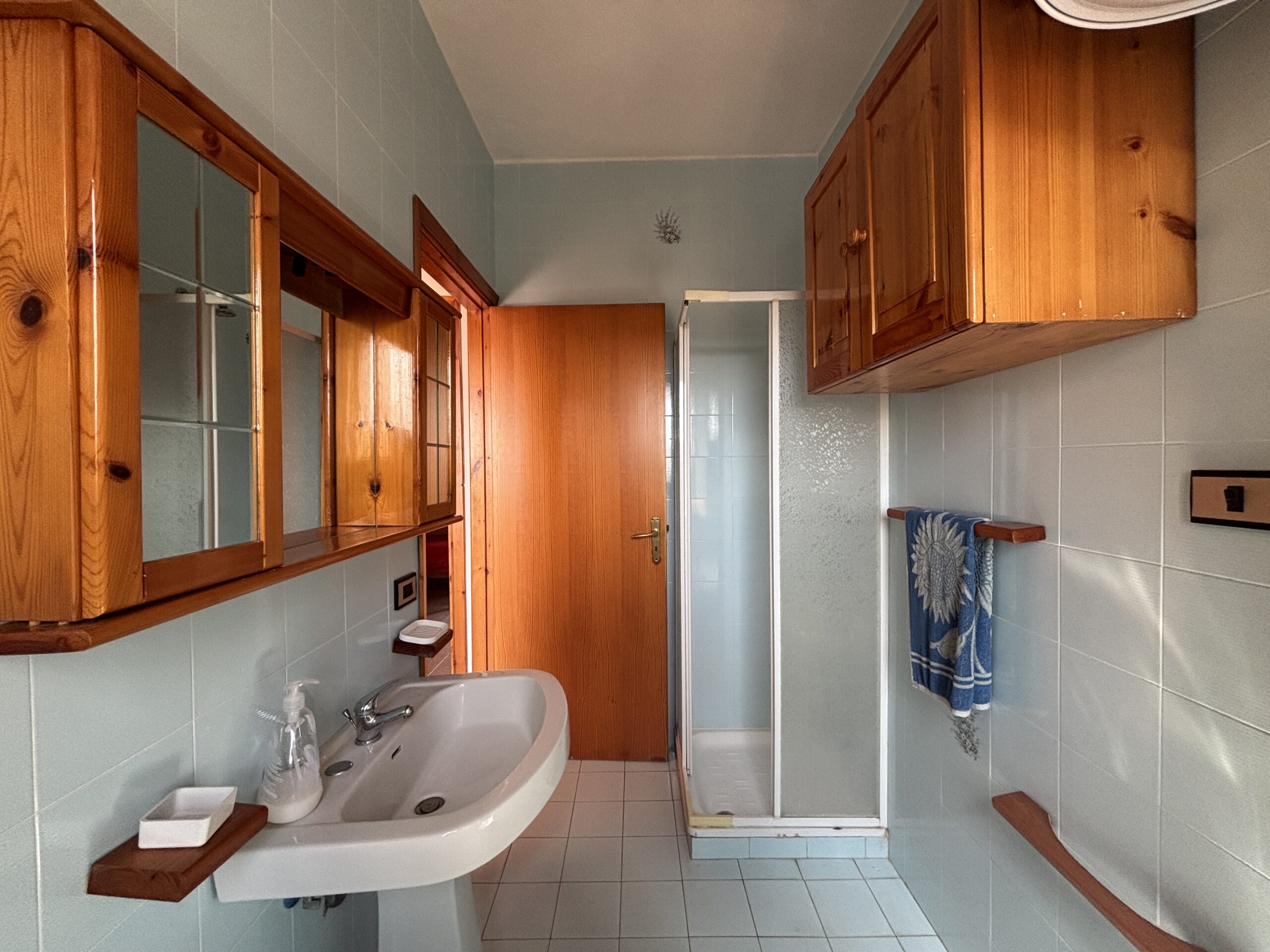 Bright house with sea view