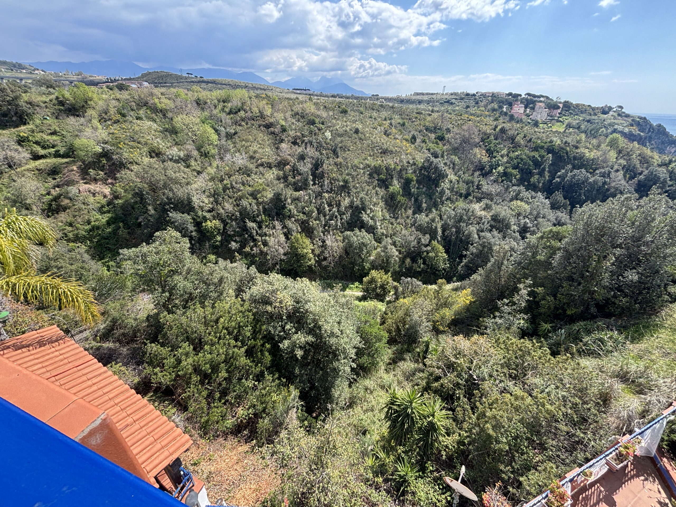 Bright house with sea view