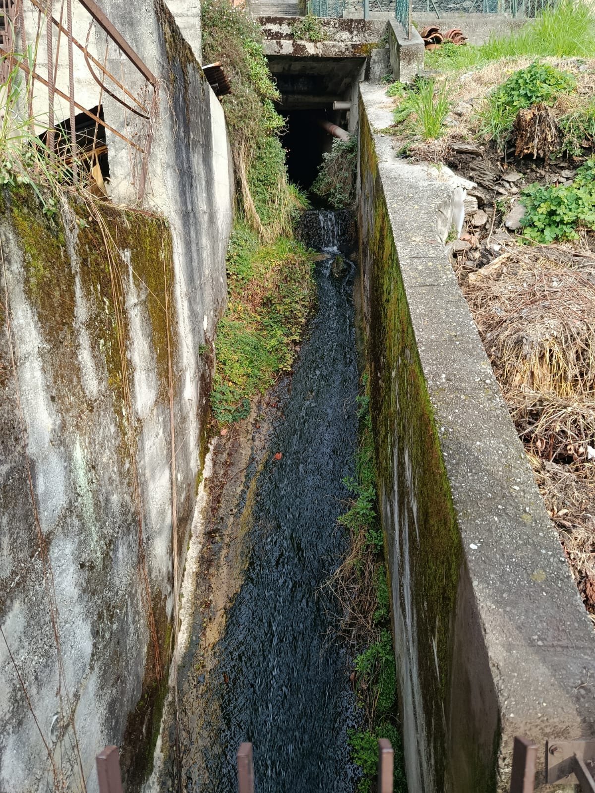 Detached house with a lake view
