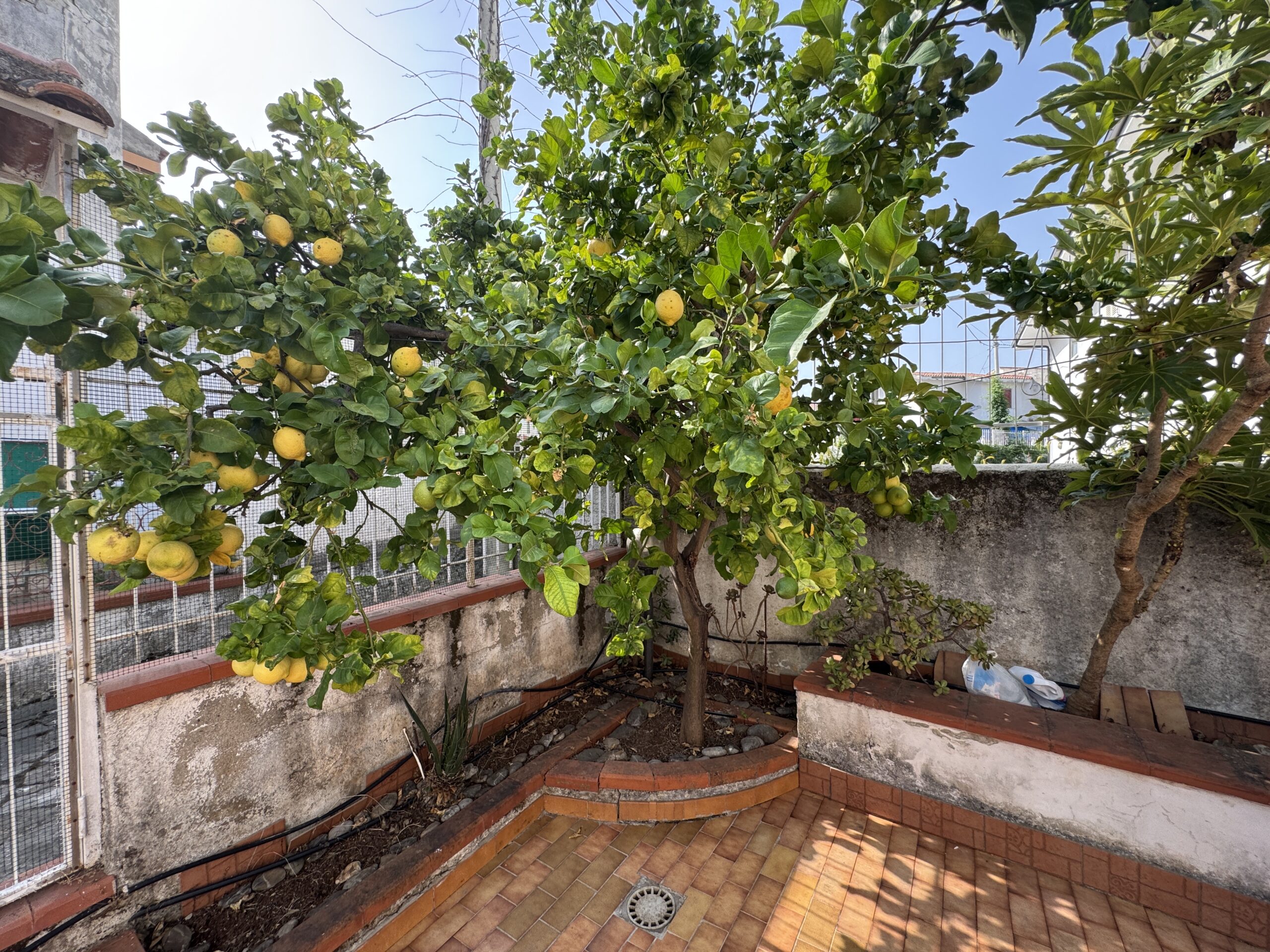 A two-storey house with a spacious garden